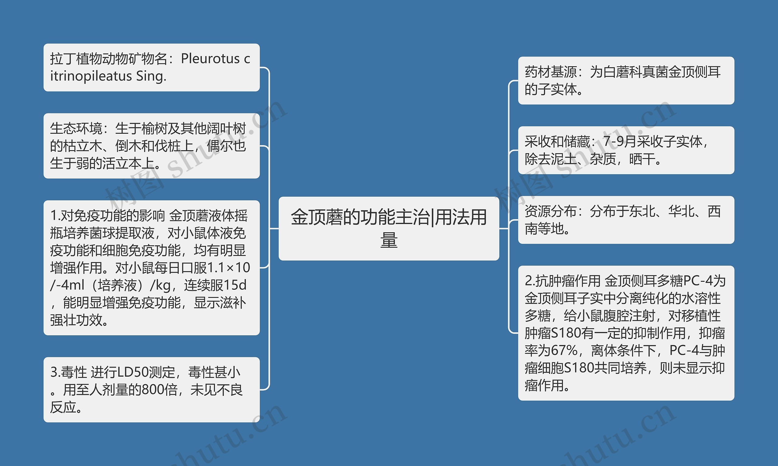 金顶蘑的功能主治|用法用量