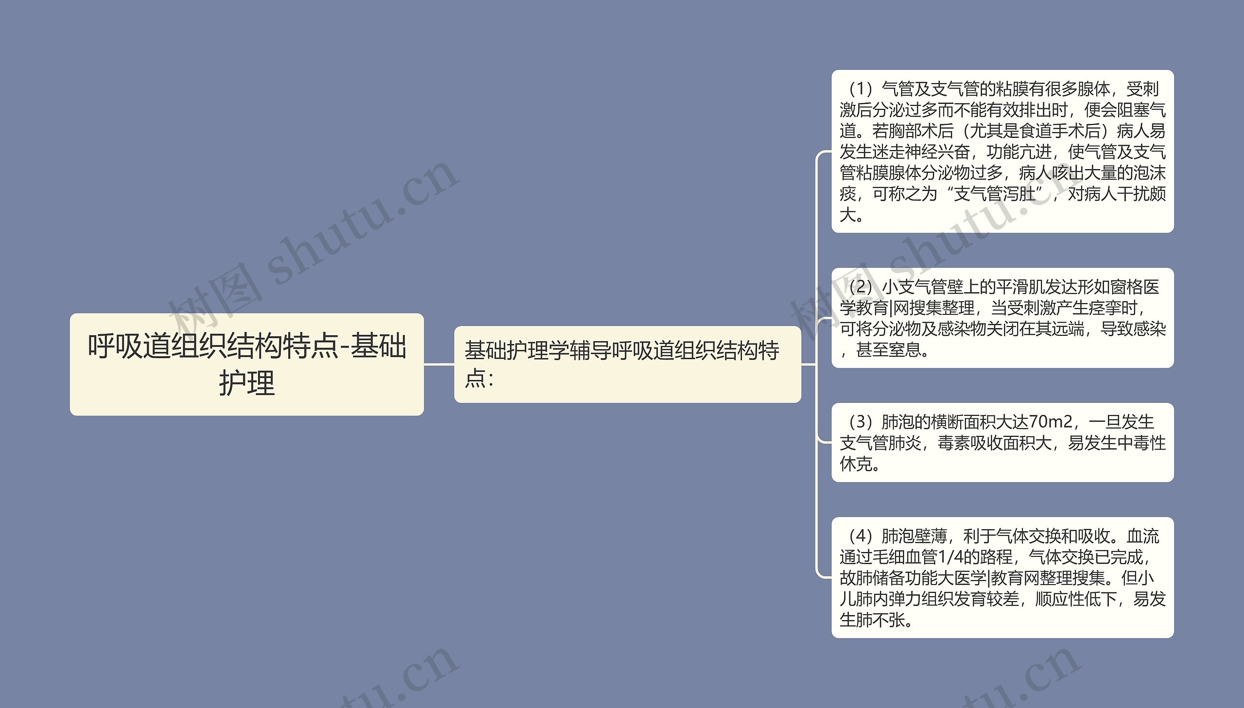 呼吸道组织结构特点-基础护理思维导图