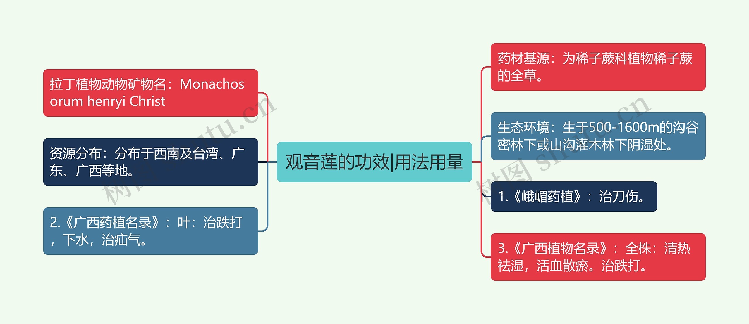 观音莲的功效|用法用量思维导图