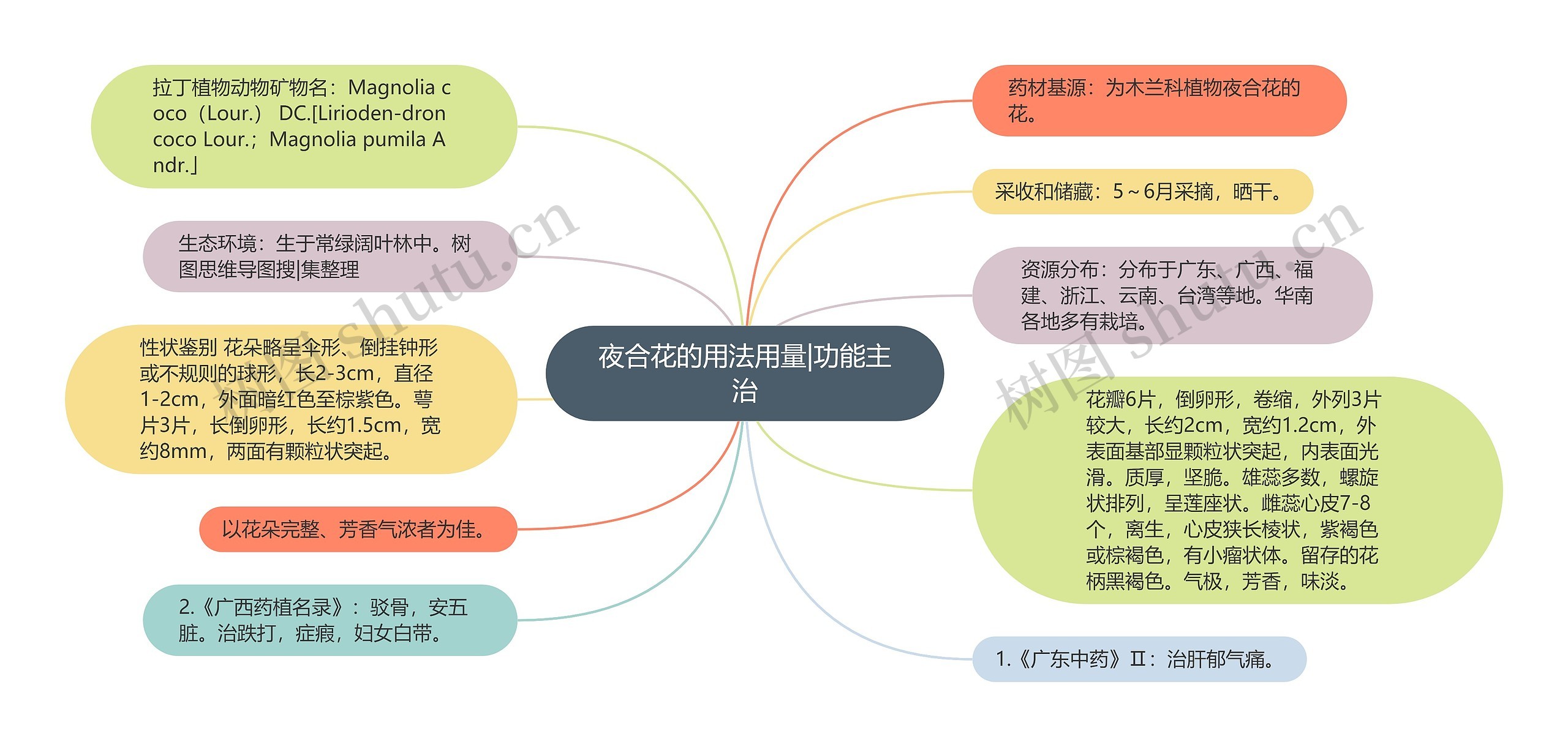 夜合花的用法用量|功能主治