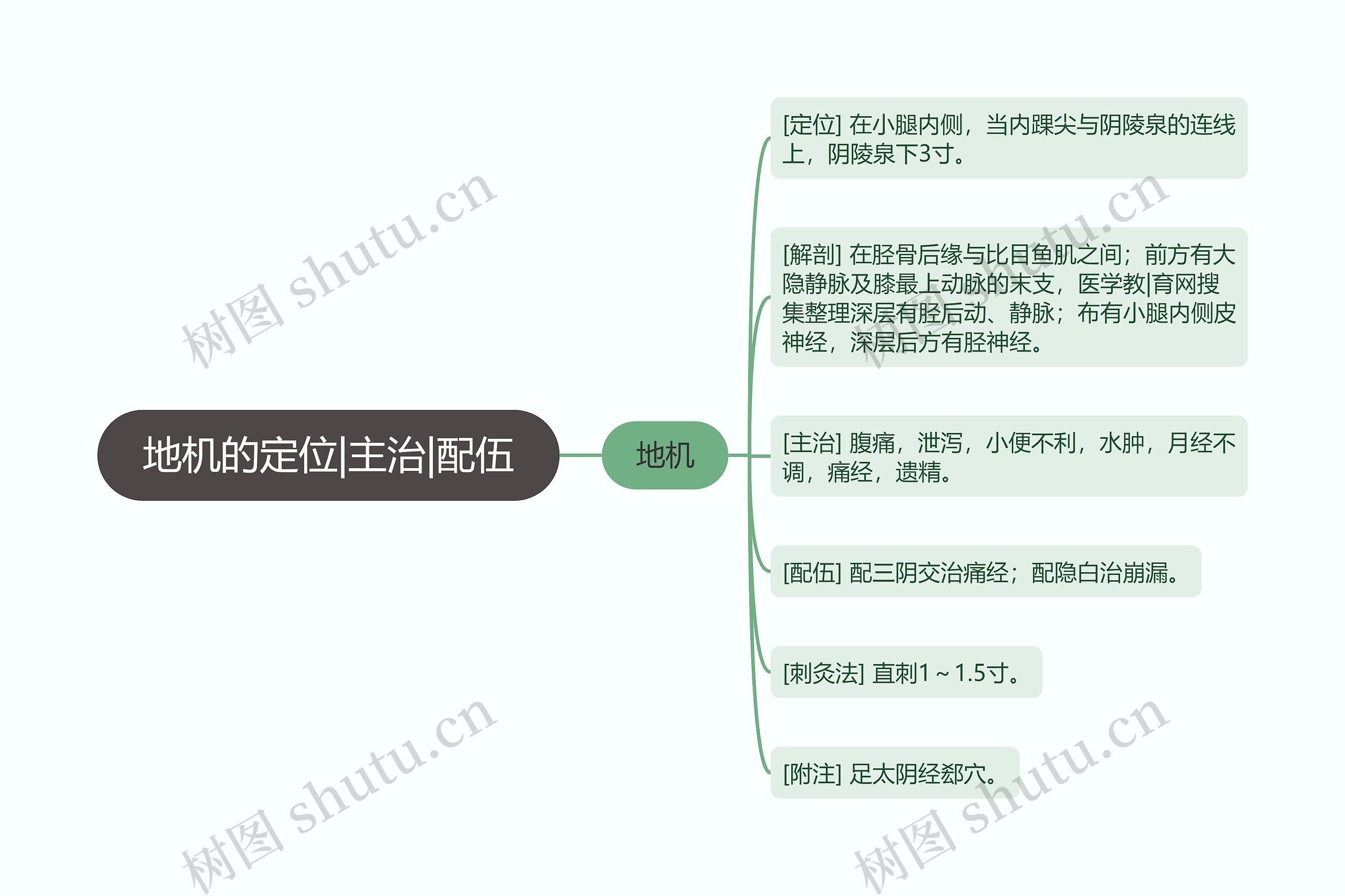 地机的定位|主治|配伍思维导图