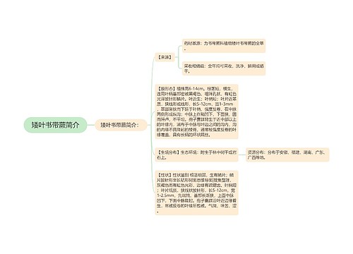 矮叶书带蕨简介