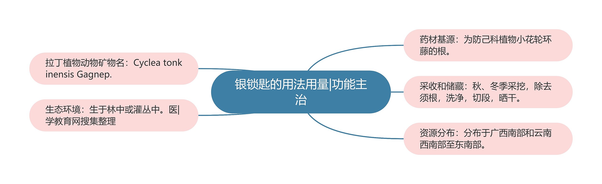 银锁匙的用法用量|功能主治 银锁匙的用法用量|功能主治