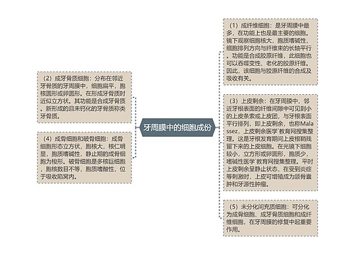 牙周膜中的细胞成份