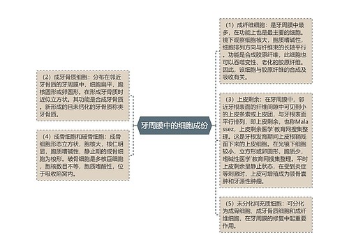 牙周膜中的细胞成份