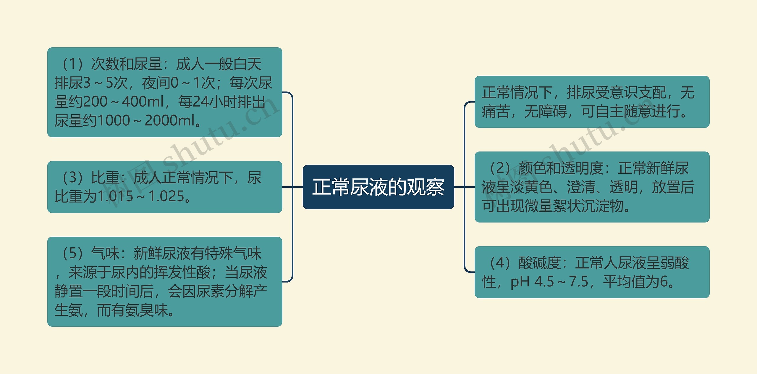 正常尿液的观察思维导图