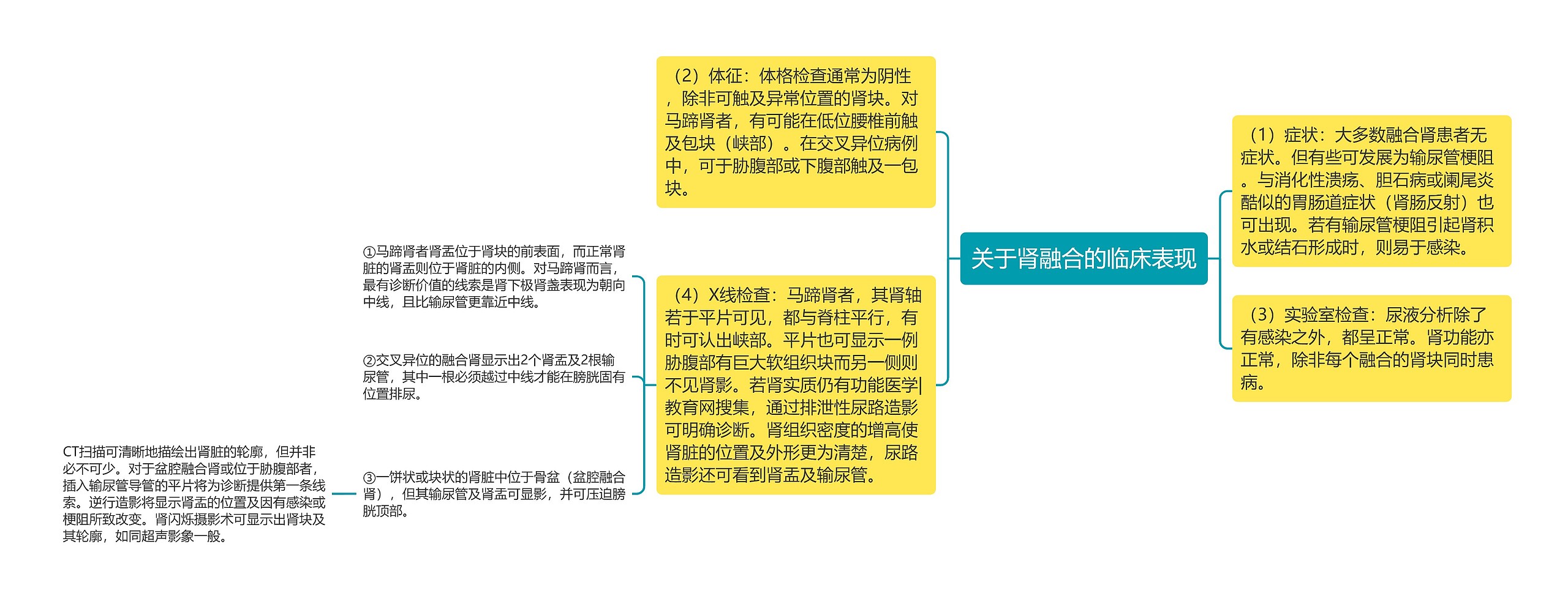 关于肾融合的临床表现 关于肾融合的临床表现