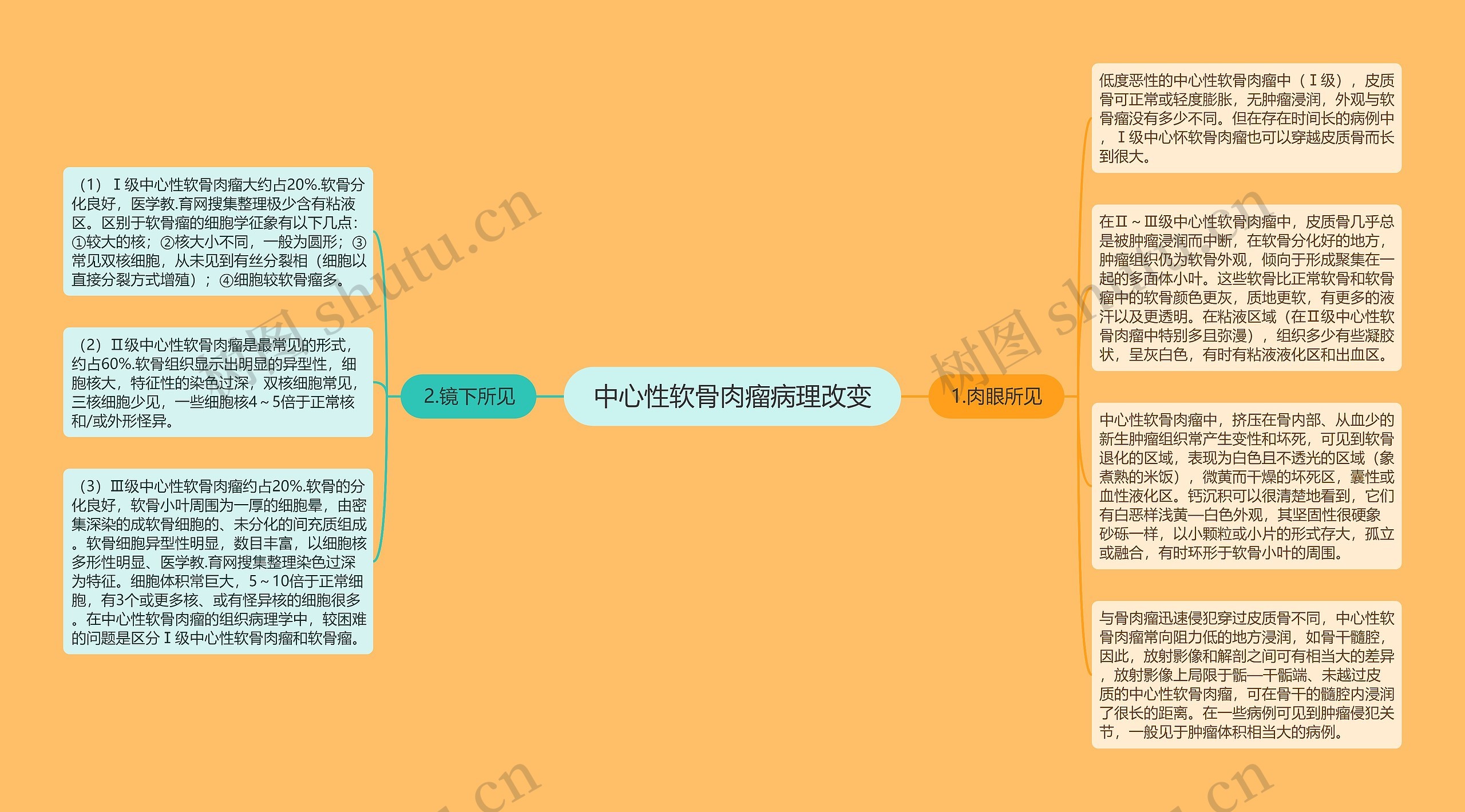 中心性软骨肉瘤病理改变