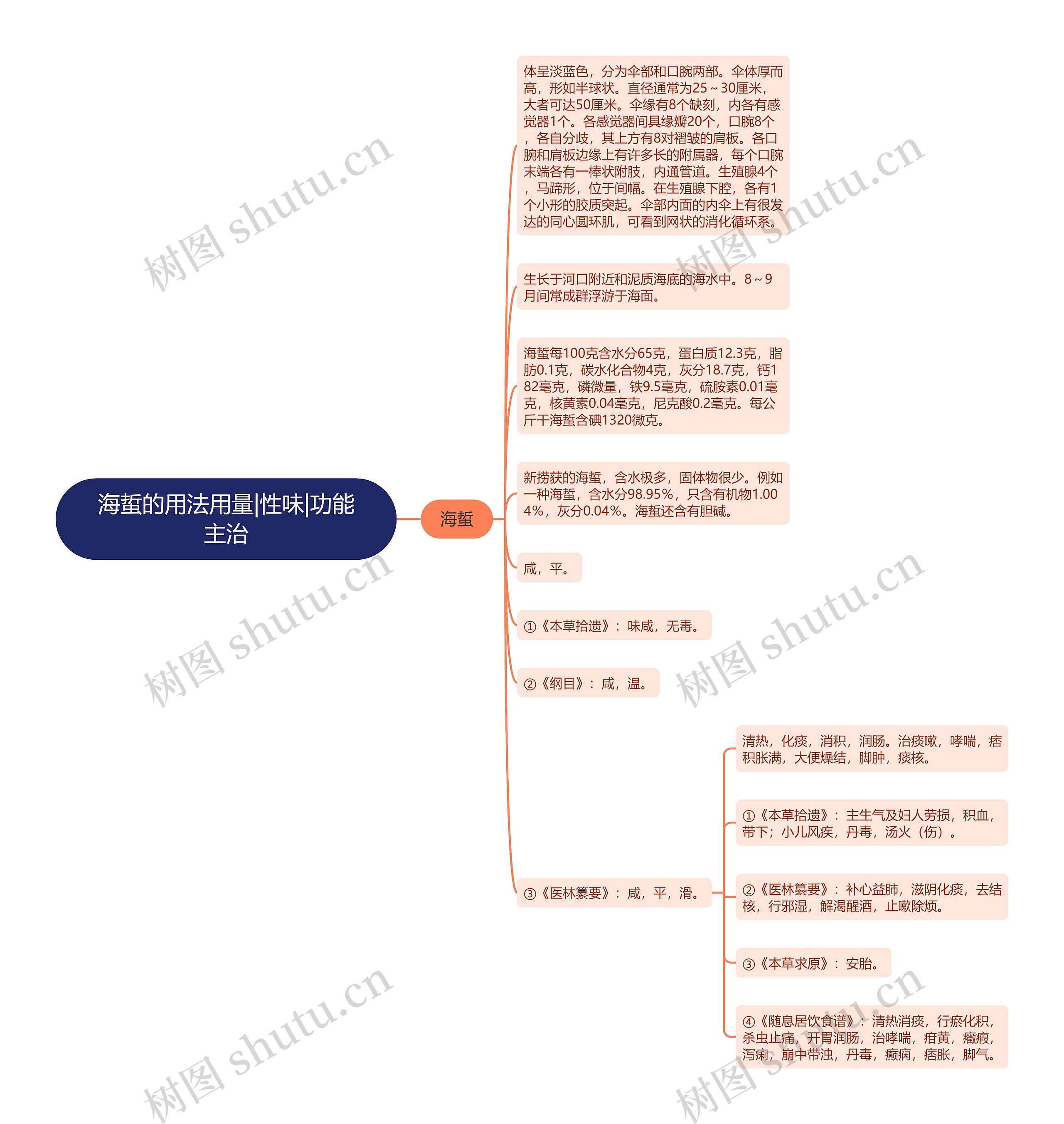 海蜇的用法用量|性味|功能主治思维导图