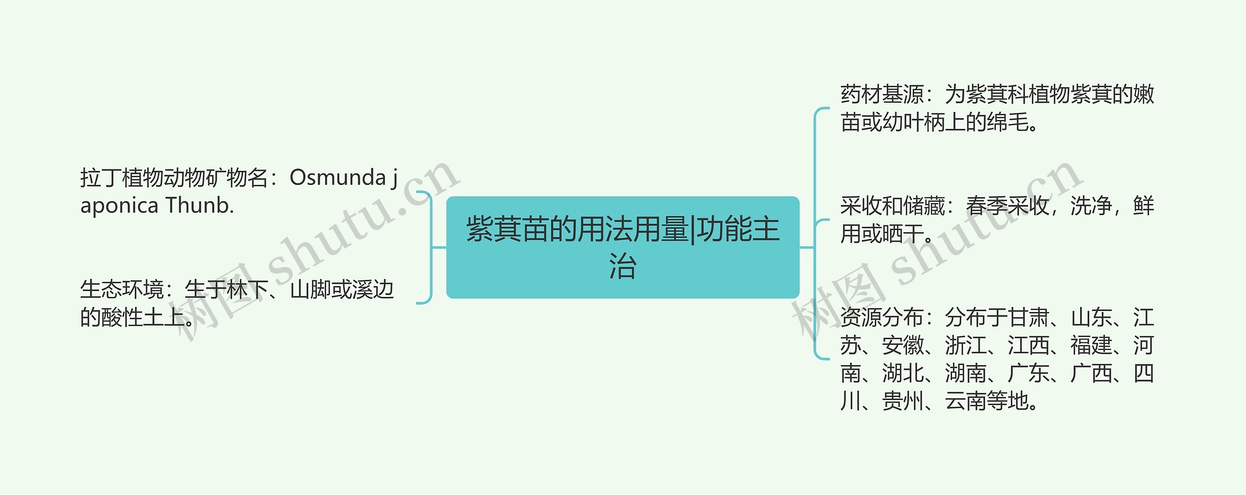 紫萁苗的用法用量|功能主治