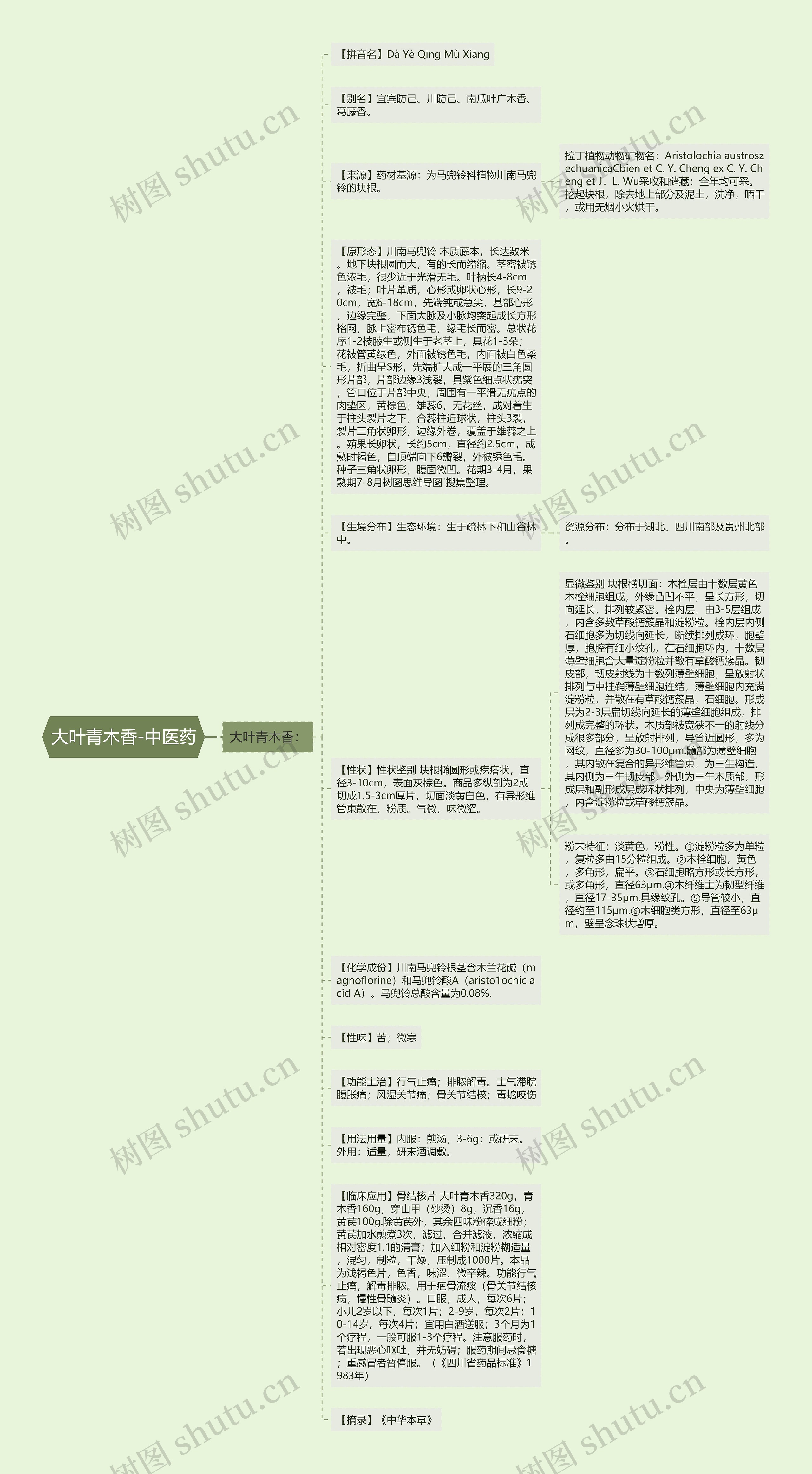 大叶青木香-中医药思维导图