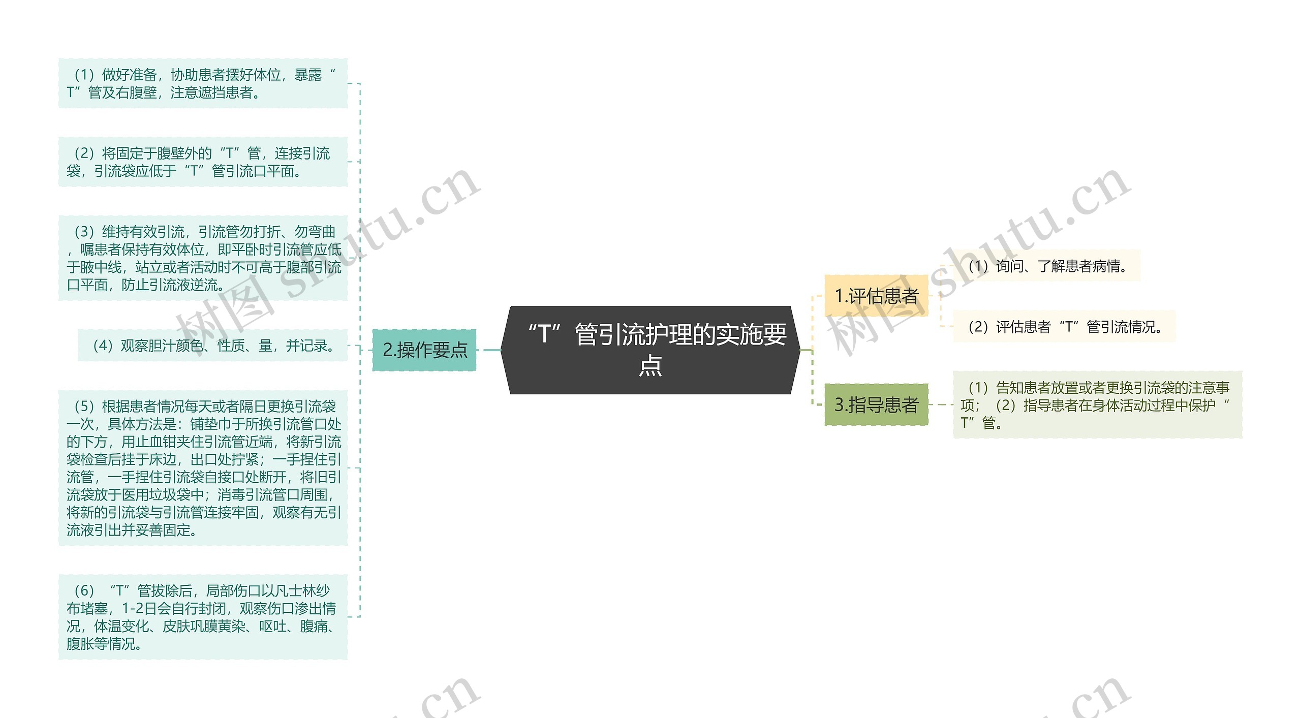 “T”管引流护理的实施要点思维导图