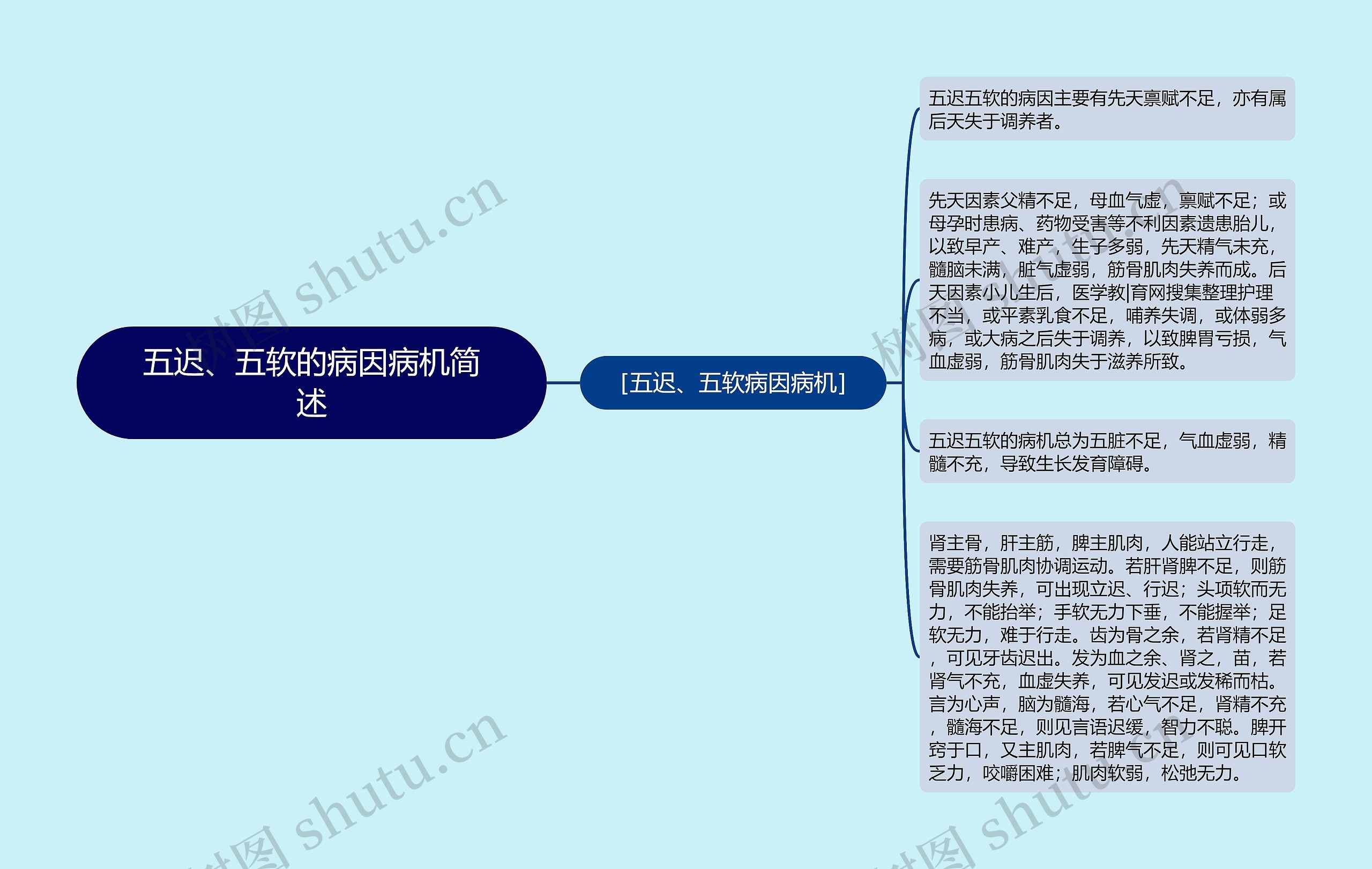 五迟、五软的病因病机简述思维导图