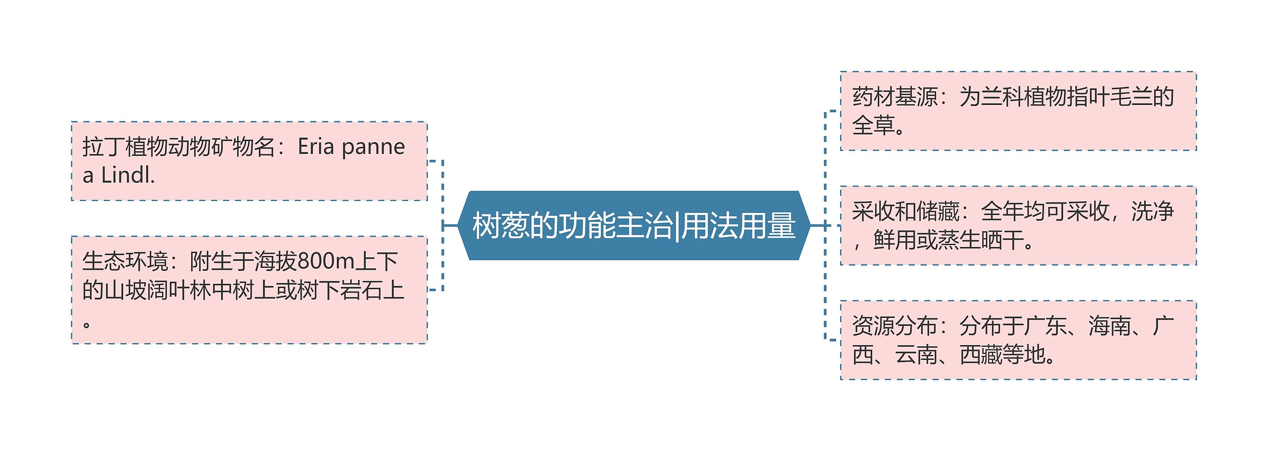 树葱的功能主治|用法用量思维导图