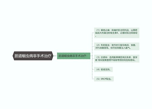 胆道蛔虫病非手术治疗