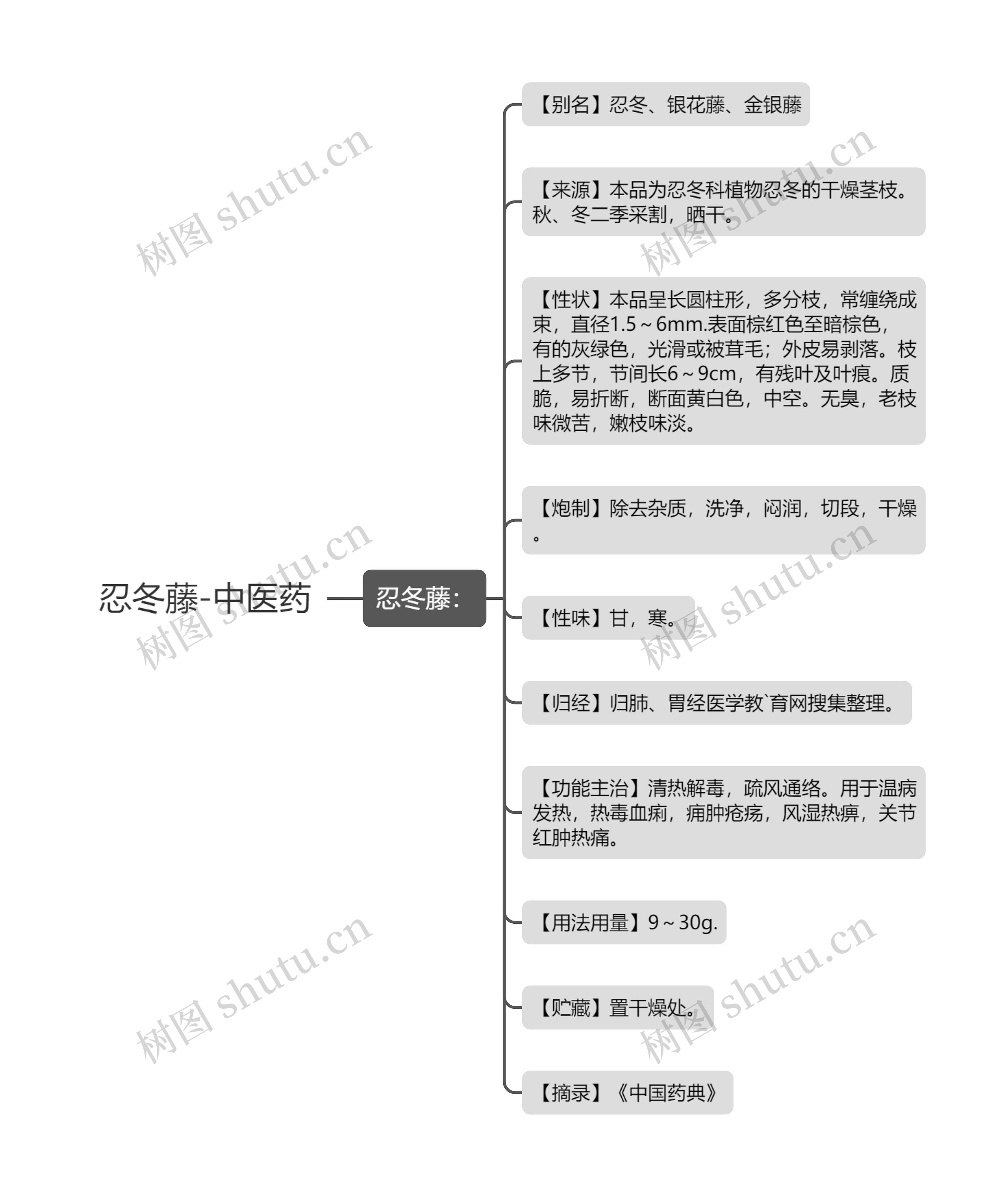 忍冬藤-中医药思维导图