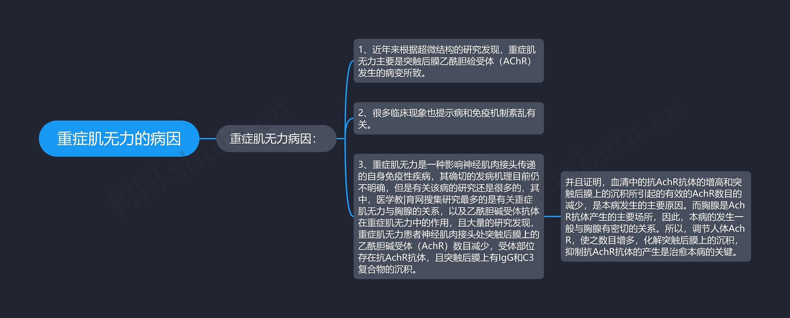 重症肌无力的病因