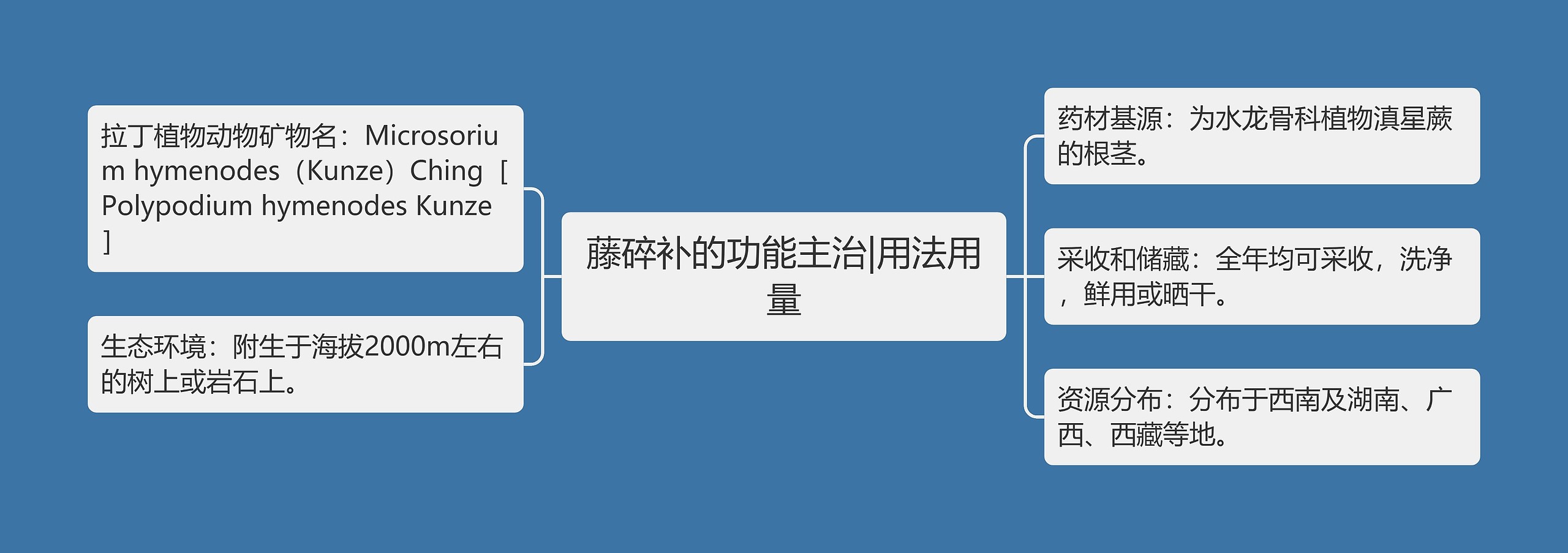 藤碎补的功能主治|用法用量 藤碎补的功能主治|用法用量