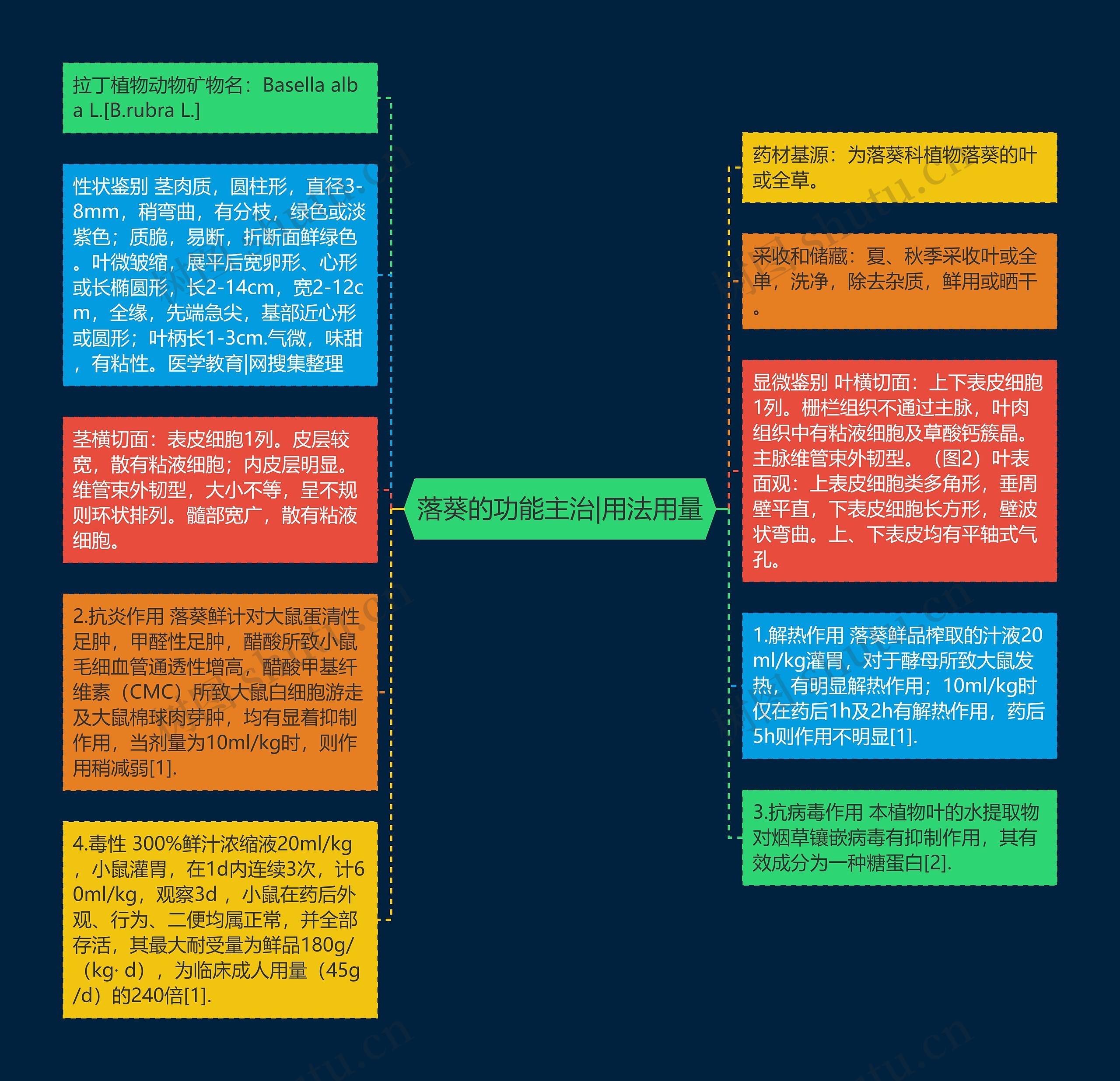 落葵的功能主治|用法用量思维导图