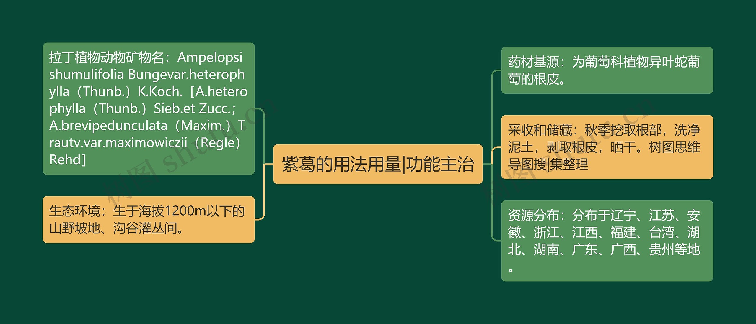 紫葛的用法用量|功能主治