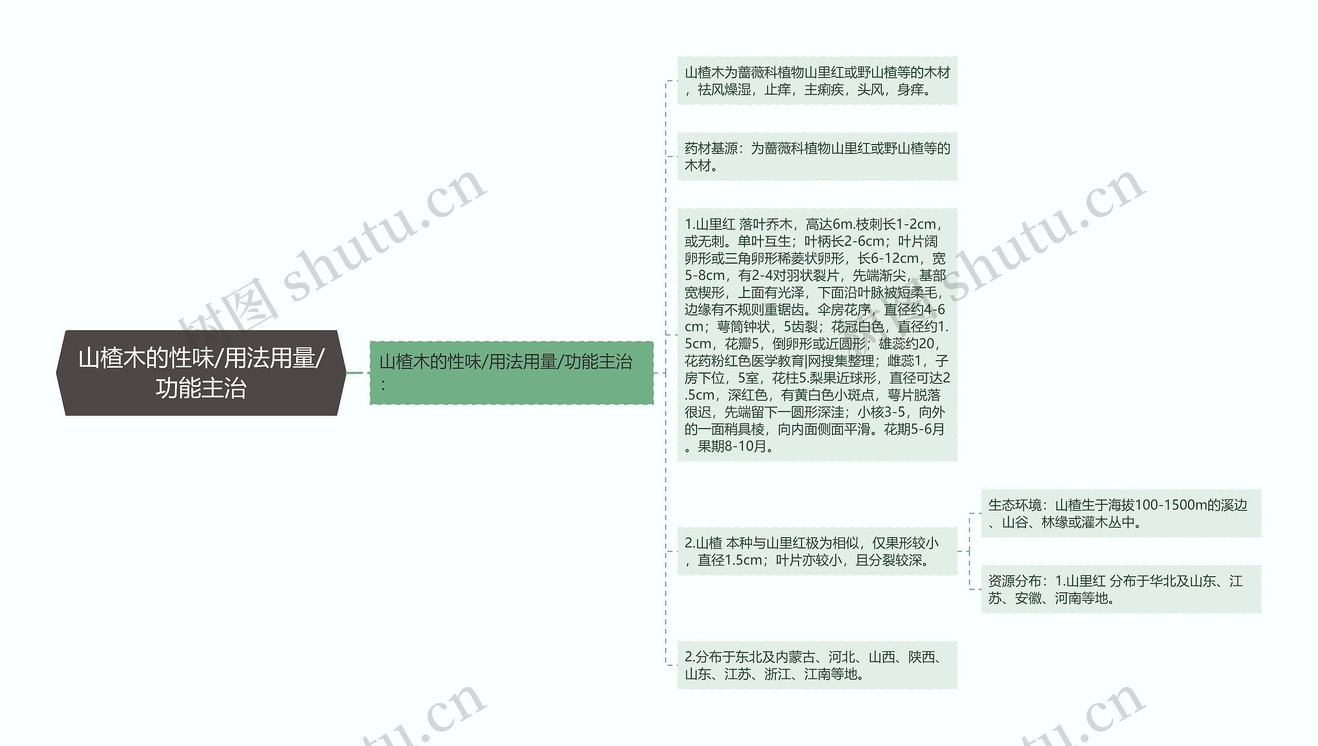 山楂木的性味/用法用量/功能主治思维导图