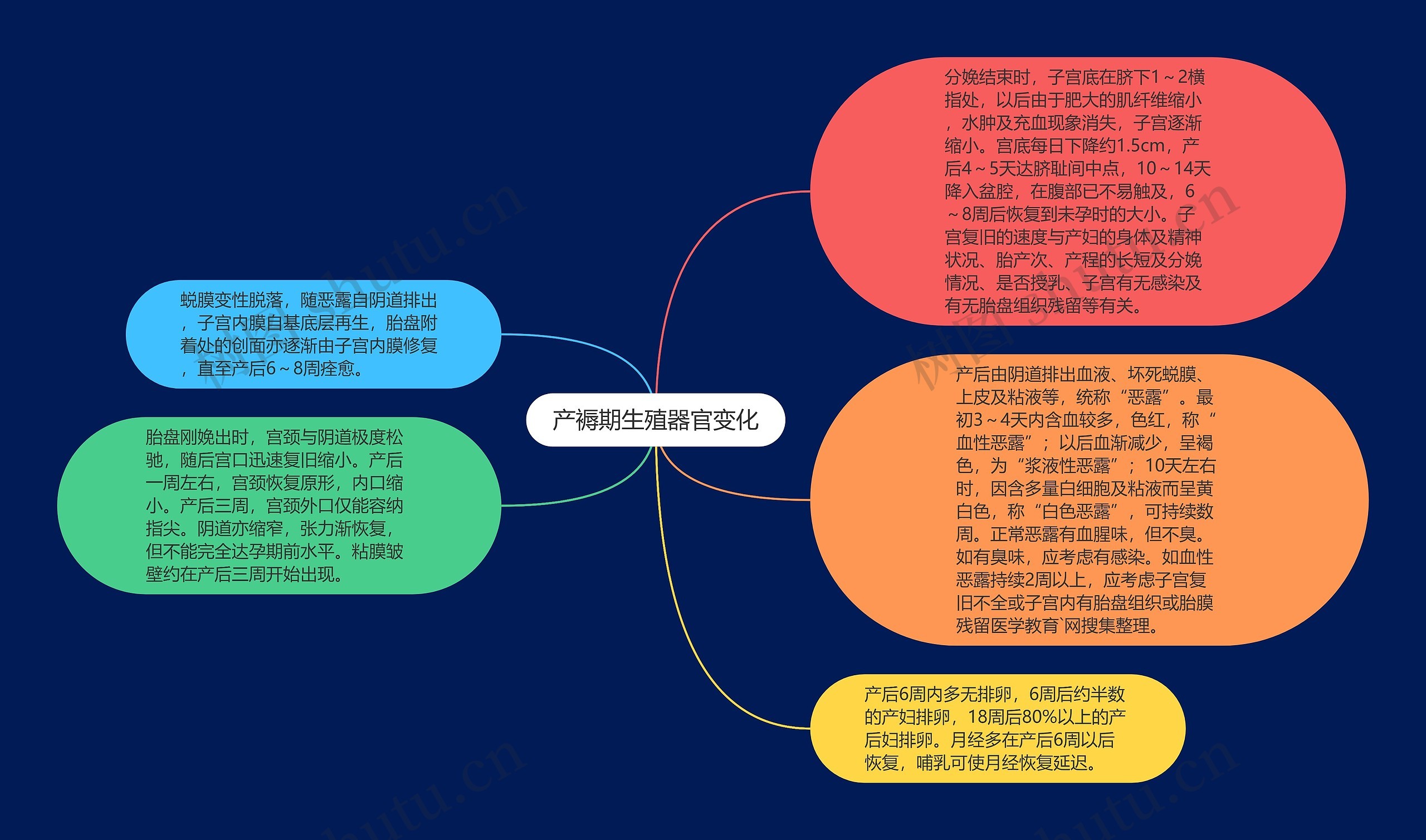 产褥期生殖器官变化思维导图