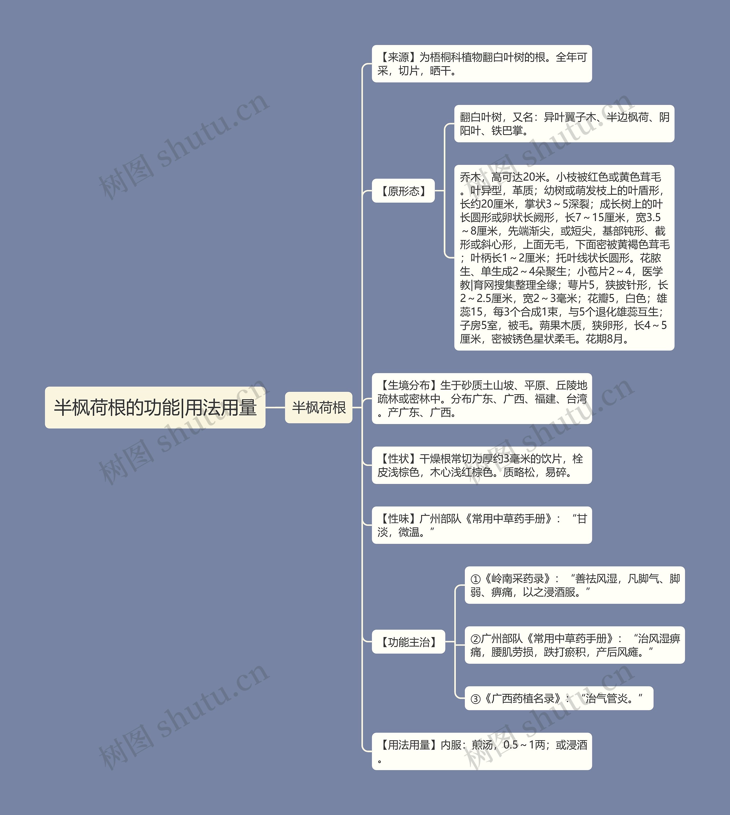 半枫荷根的功能|用法用量思维导图