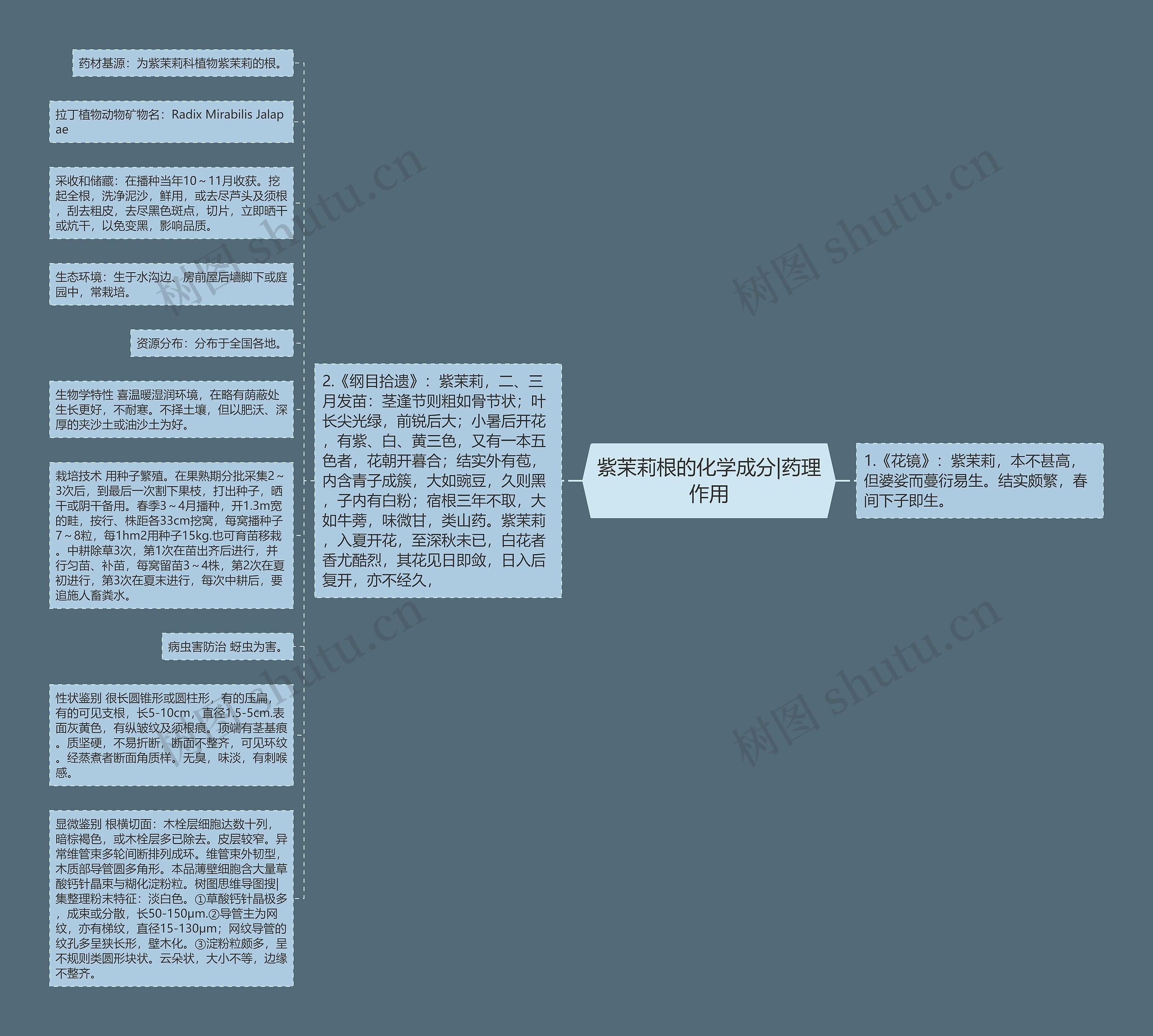 紫茉莉根的化学成分|药理作用思维导图