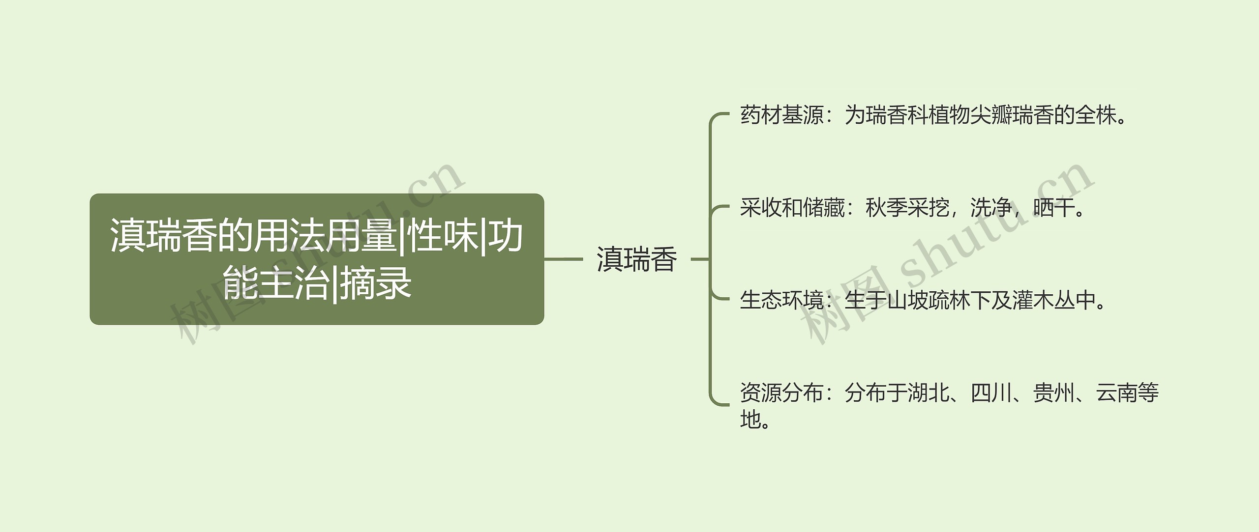 滇瑞香的用法用量|性味|功能主治|摘录思维导图