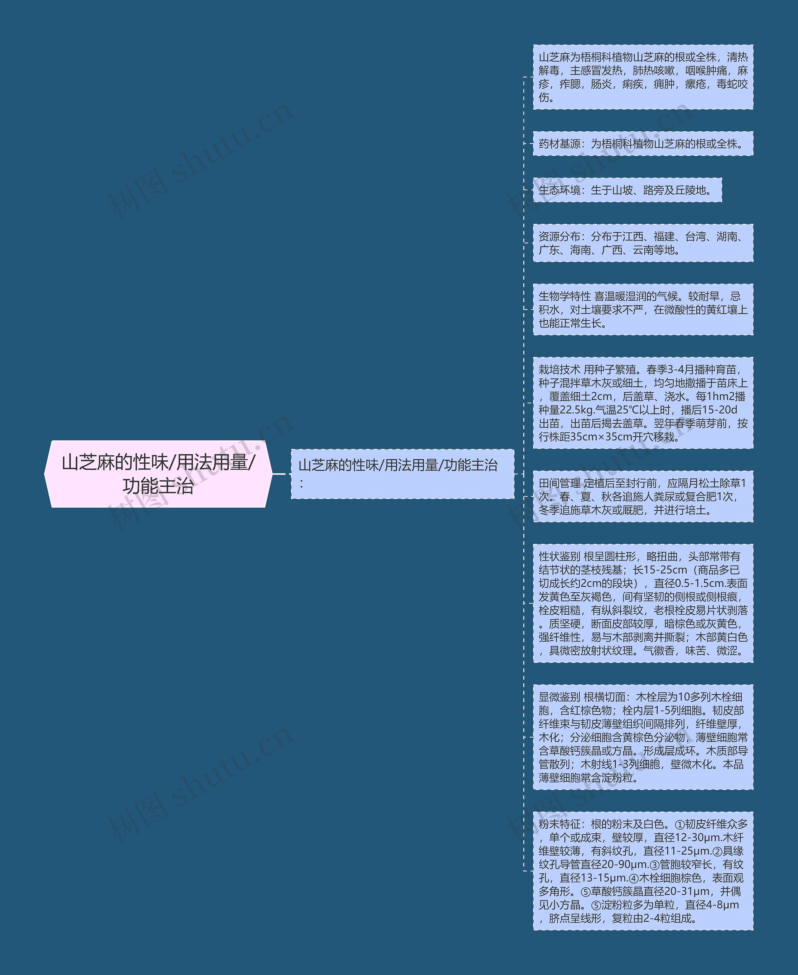 山芝麻的性味/用法用量/功能主治思维导图