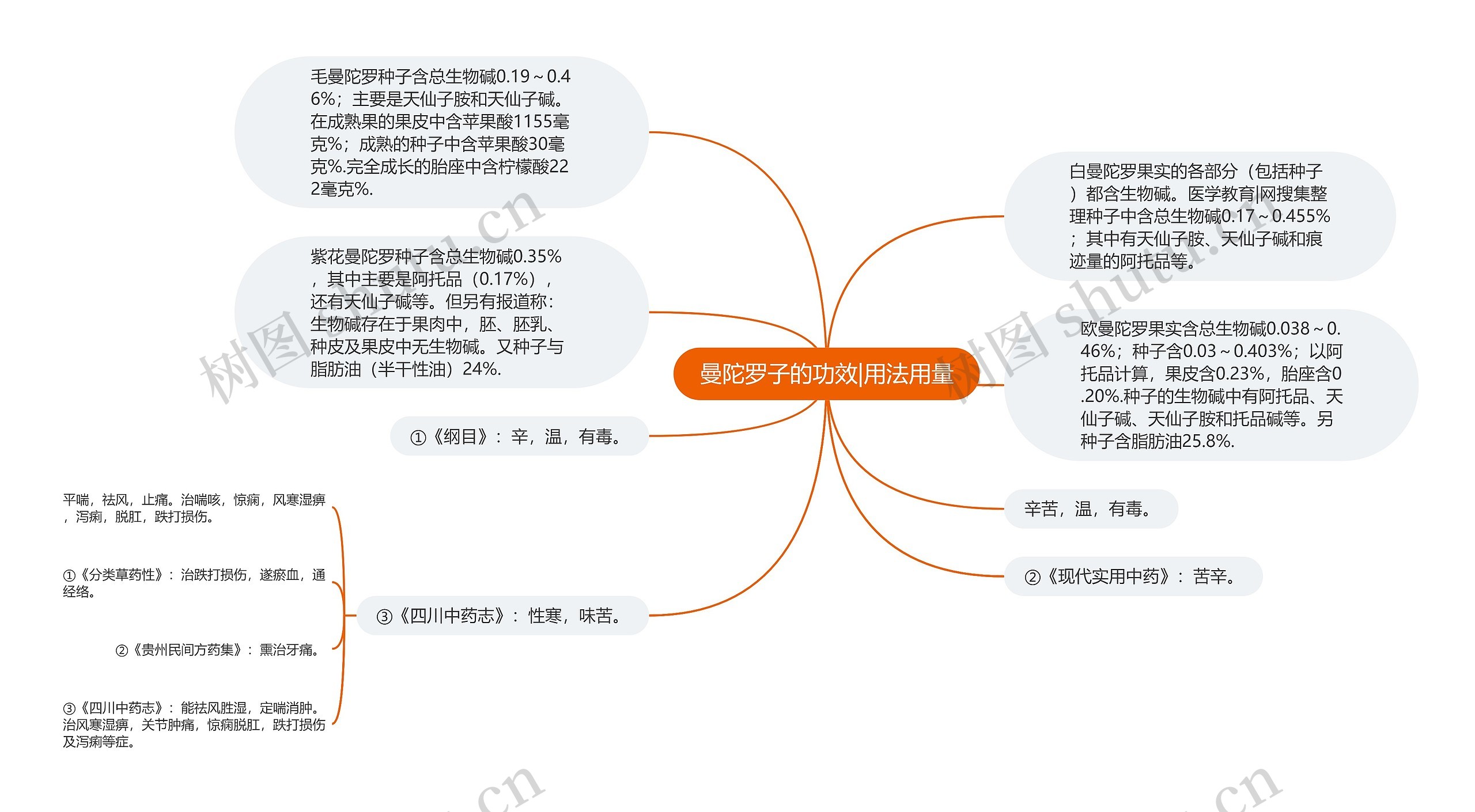 曼陀罗子的功效|用法用量思维导图