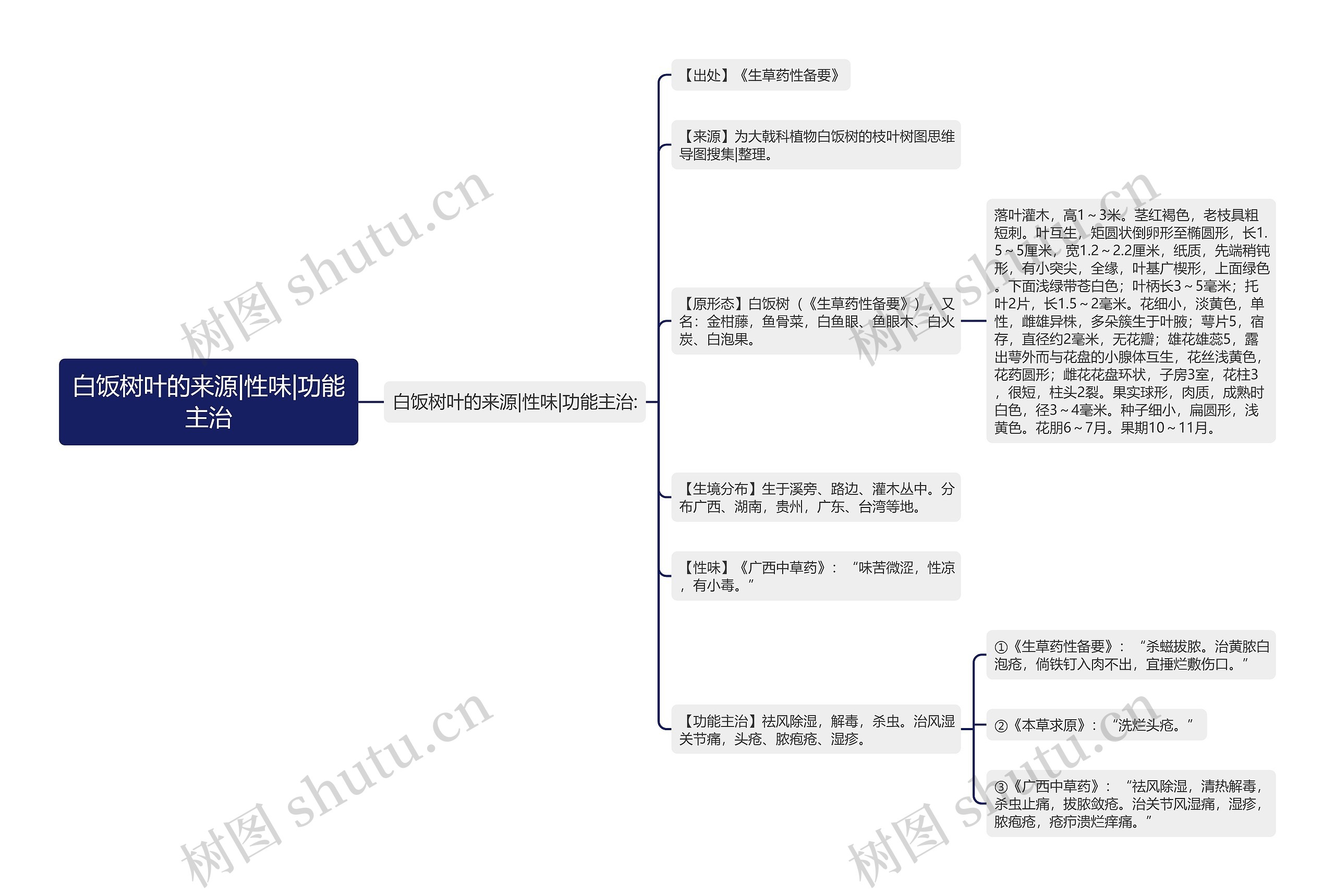 白饭树叶的来源|性味|功能主治思维导图