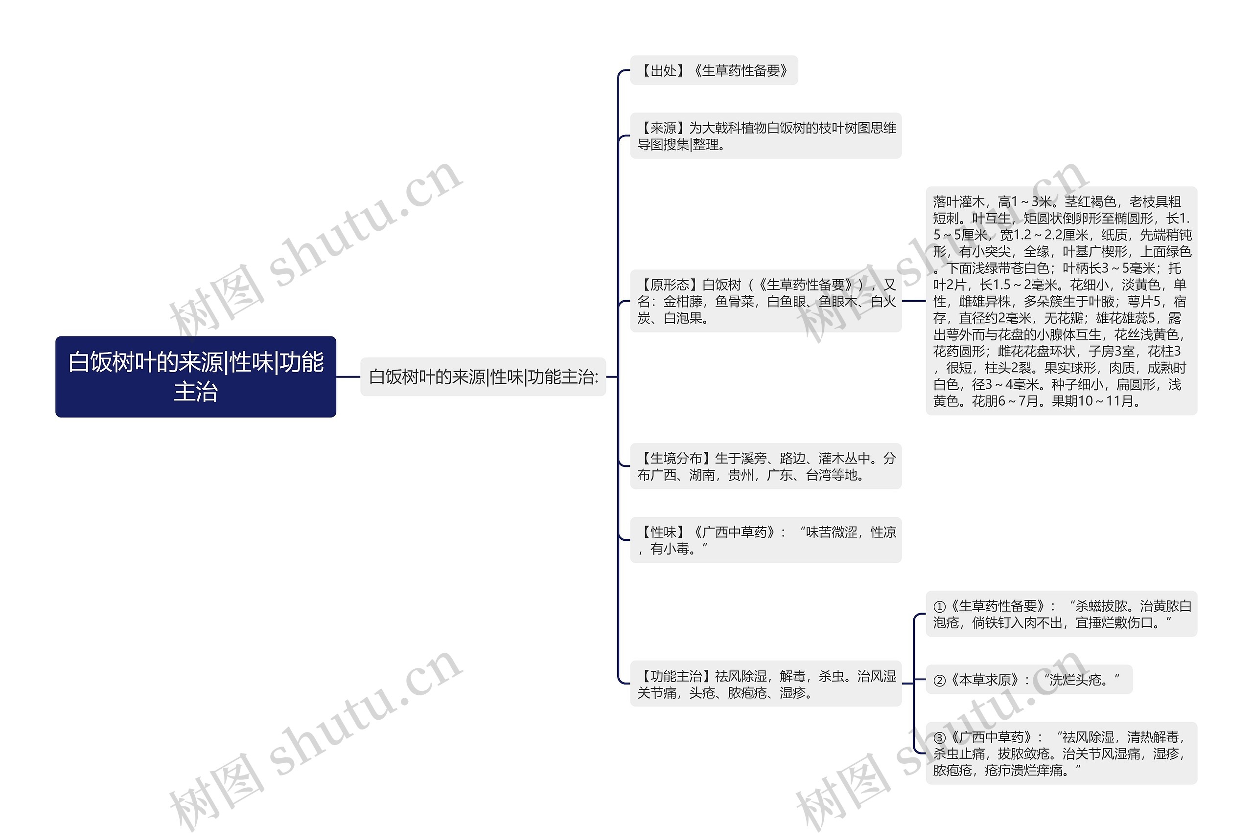 白饭树叶的来源|性味|功能主治 白饭树叶的来源|性味|功能主治