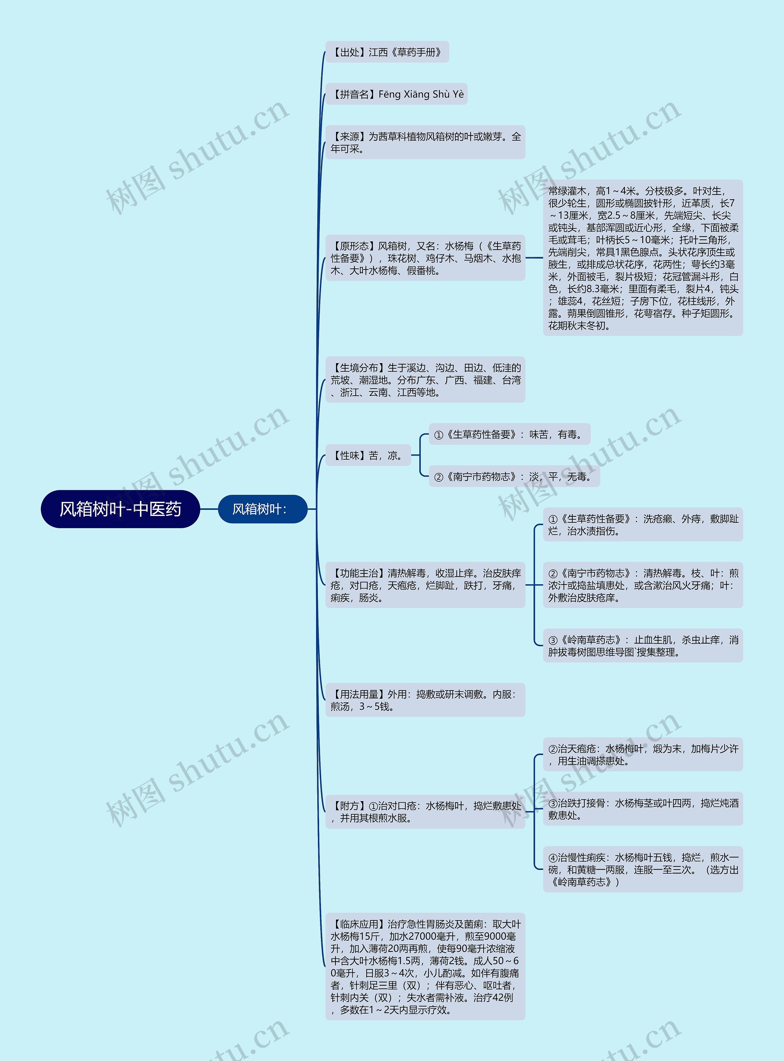 风箱树叶-中医药思维导图