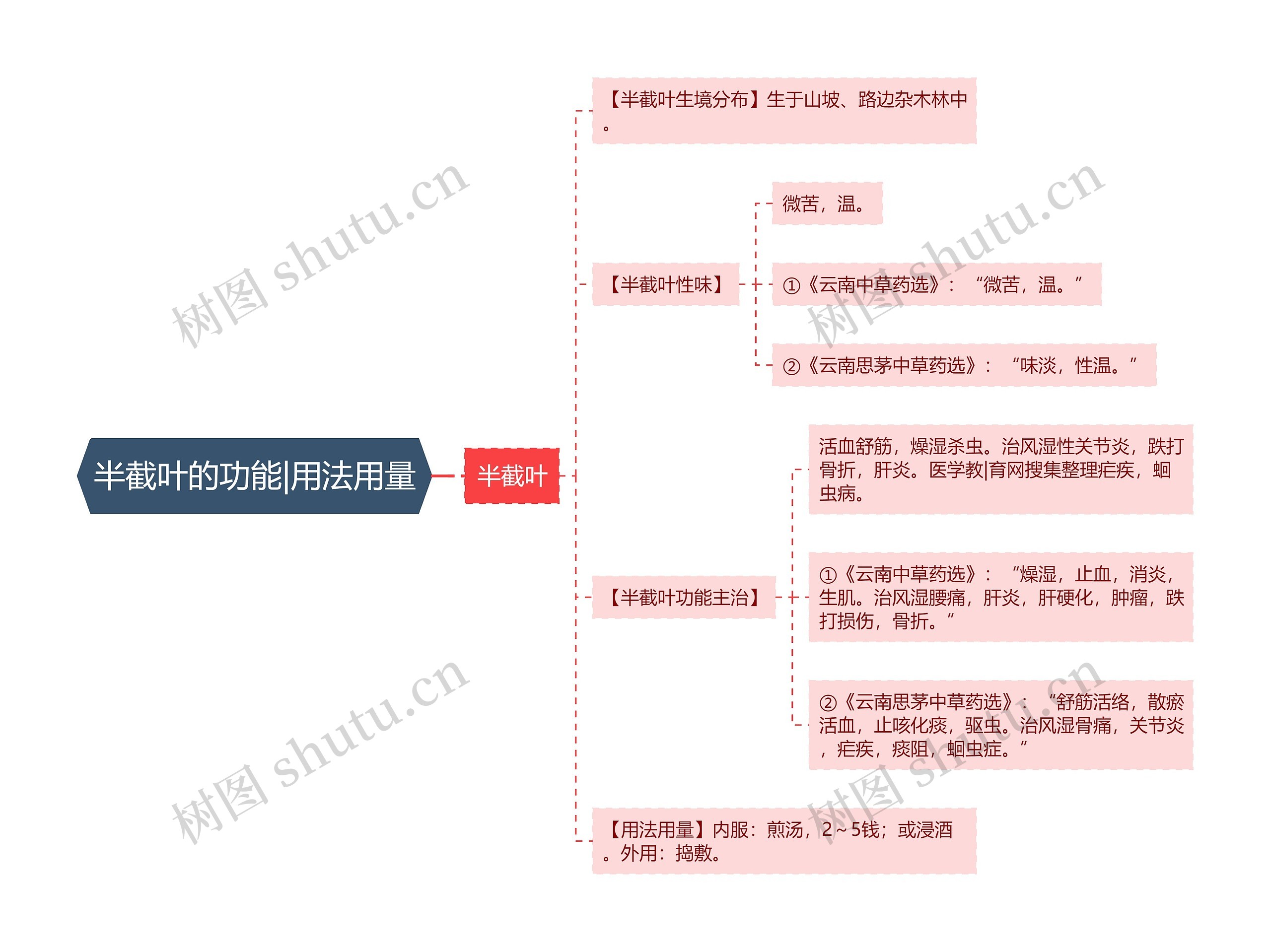 半截叶的功能|用法用量思维导图