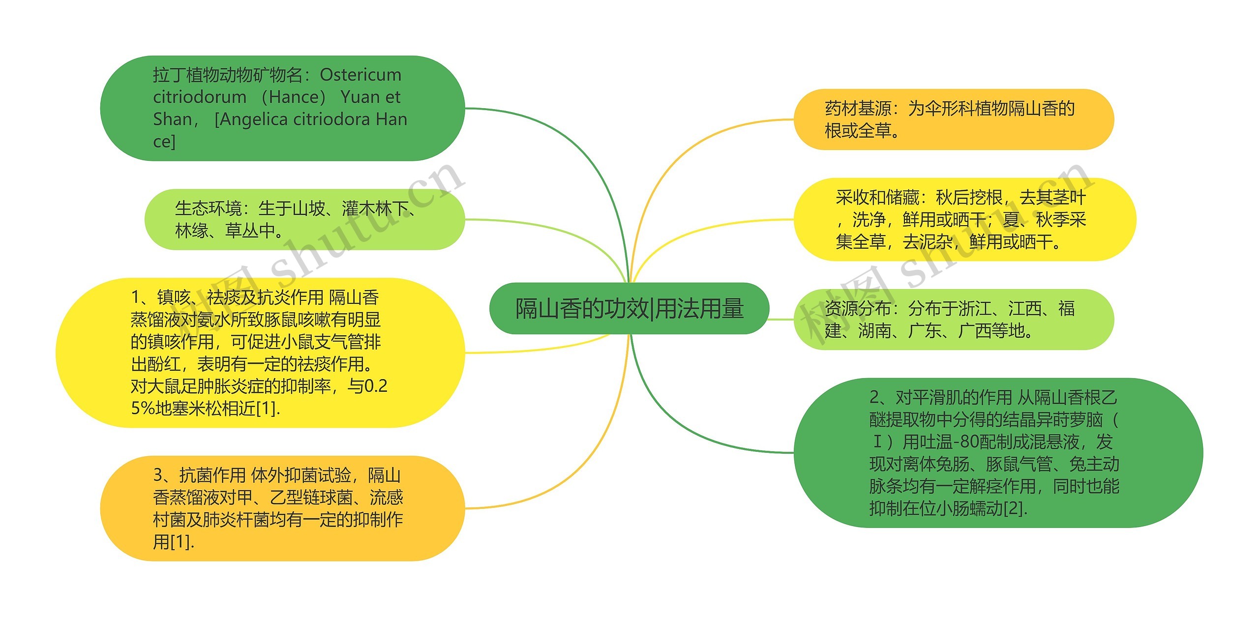 隔山香的功效|用法用量思维导图