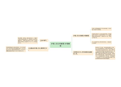 护理人员分级管理-护理管理