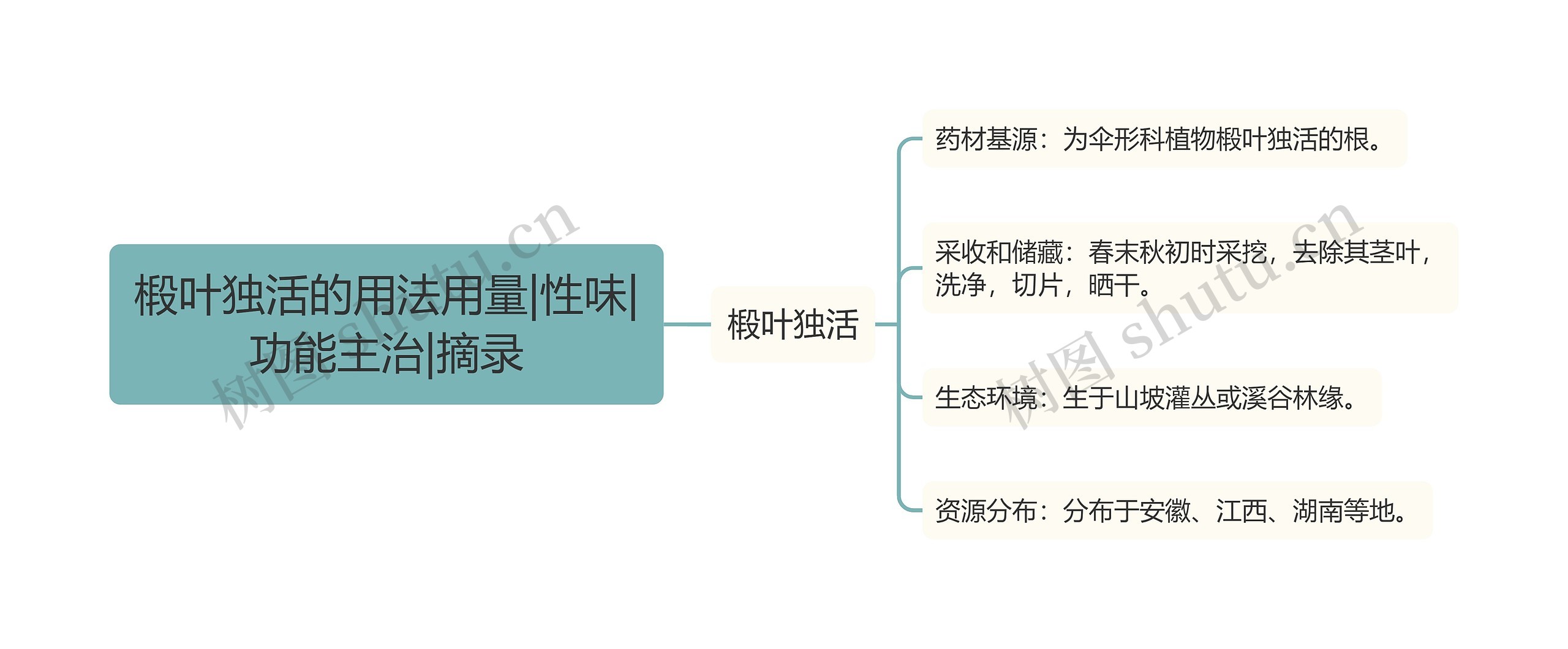 椴叶独活的用法用量|性味|功能主治|摘录思维导图