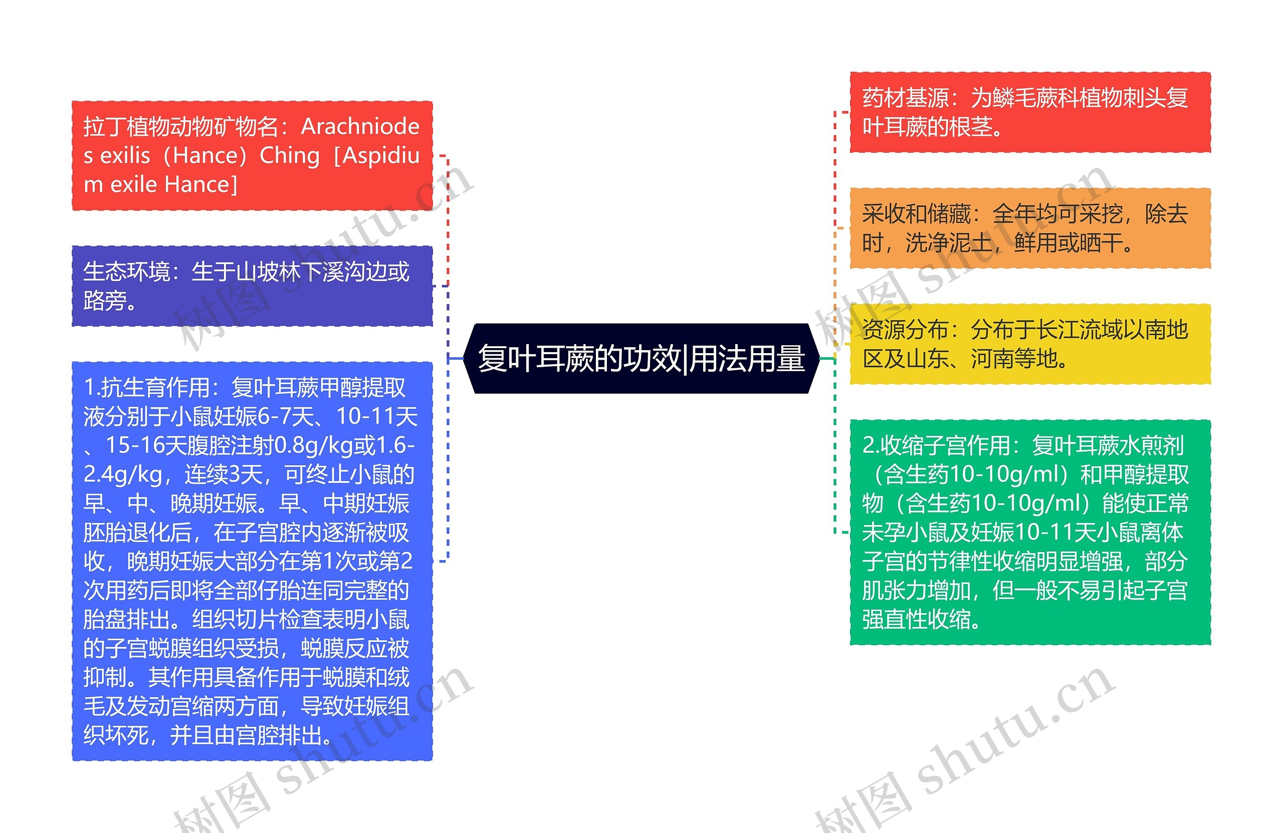 复叶耳蕨的功效|用法用量思维导图