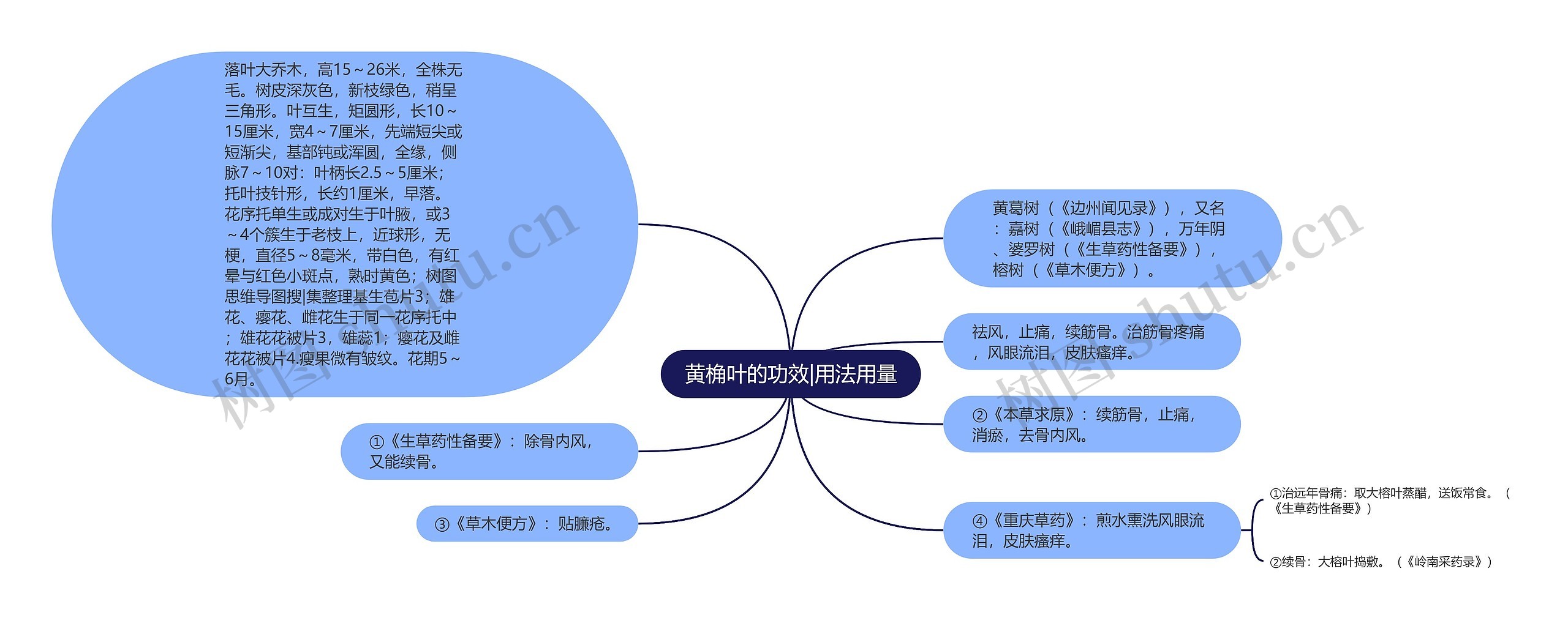 黄桷叶的功效|用法用量思维导图