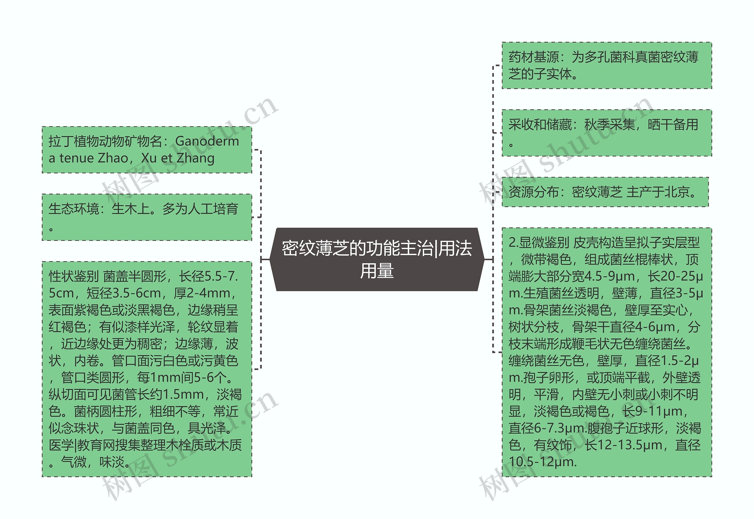 密纹薄芝的功能主治|用法用量思维导图