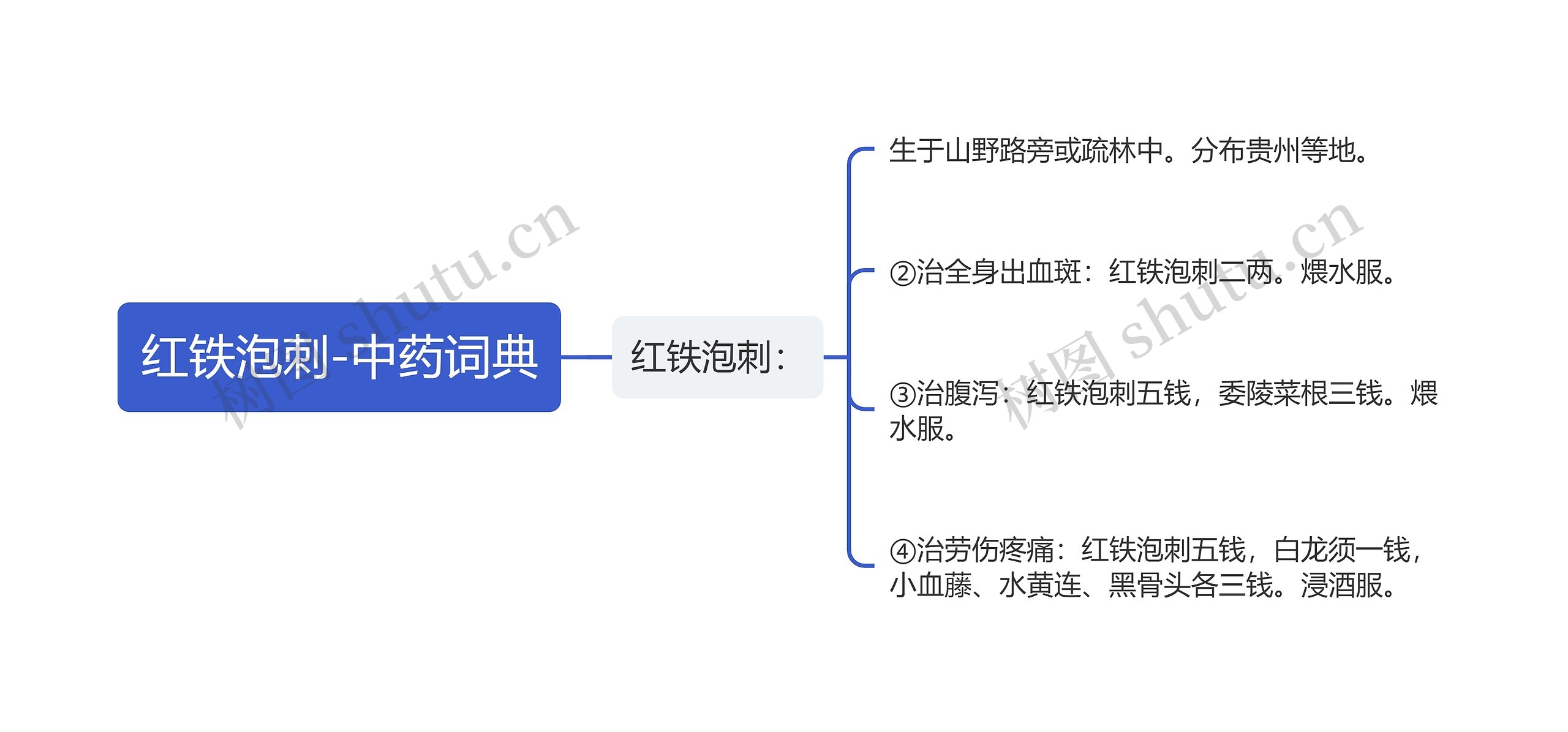 红铁泡刺-中药词典思维导图