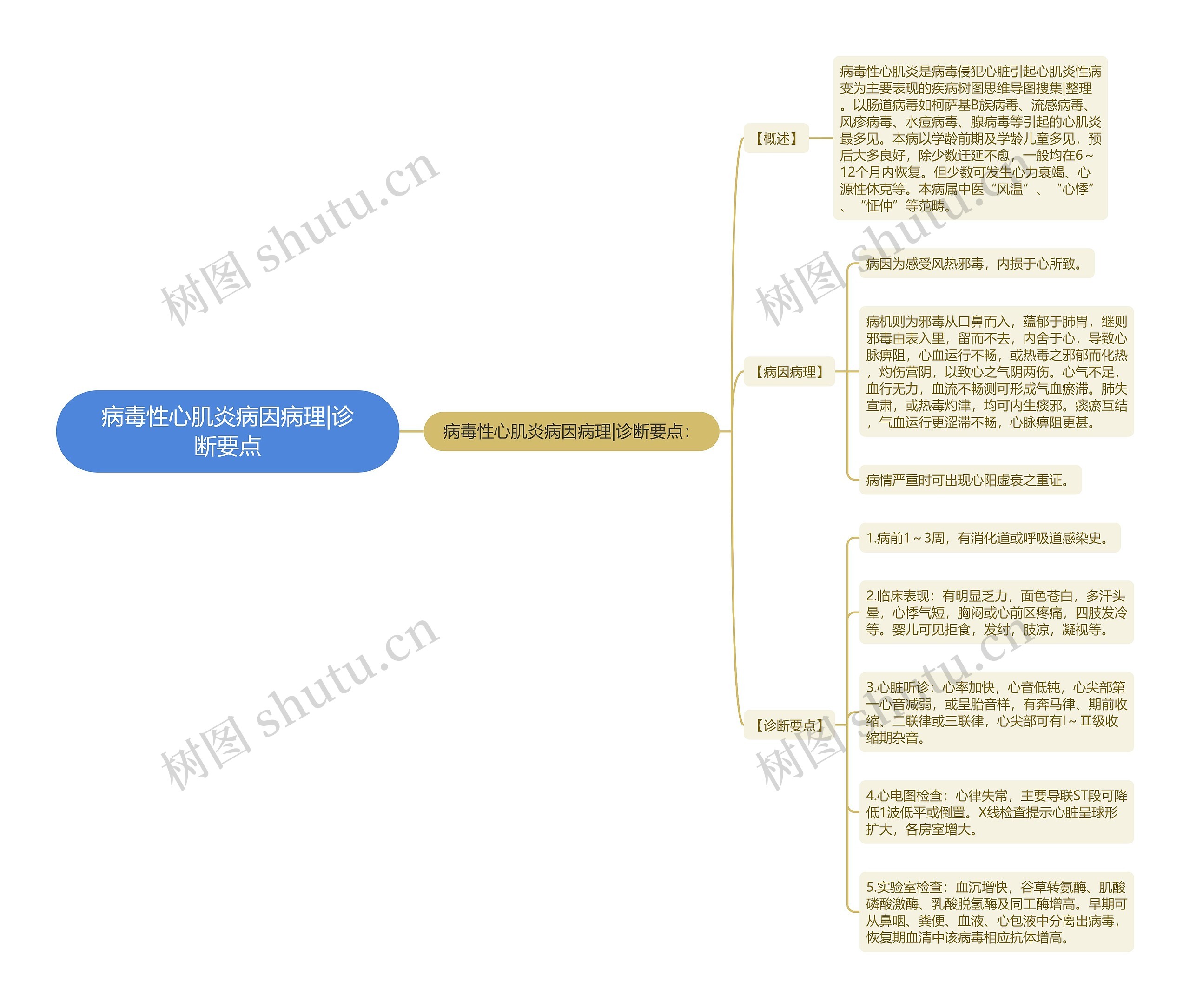 病毒性心肌炎病因病理|诊断要点思维导图