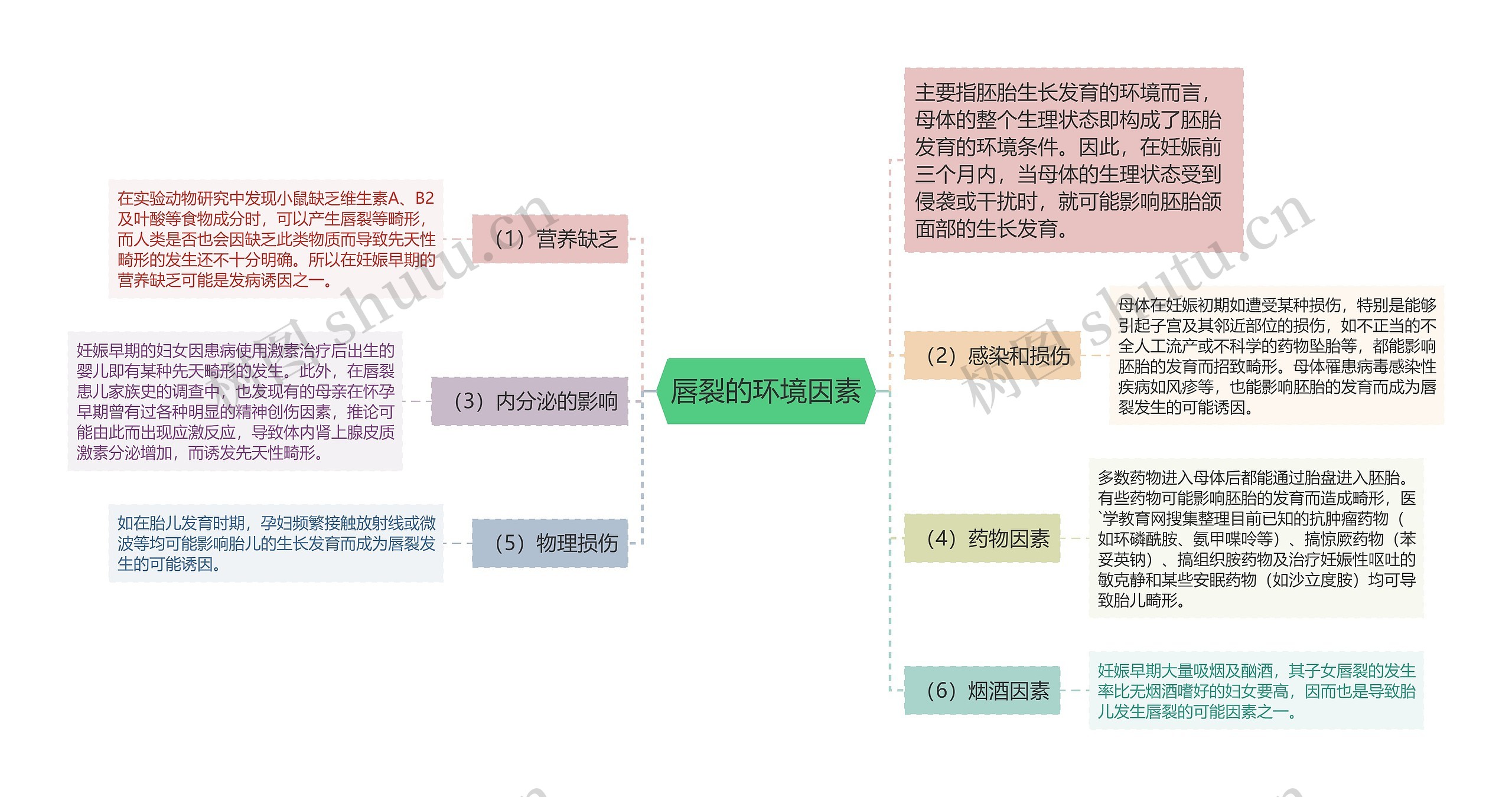 唇裂的环境因素思维导图