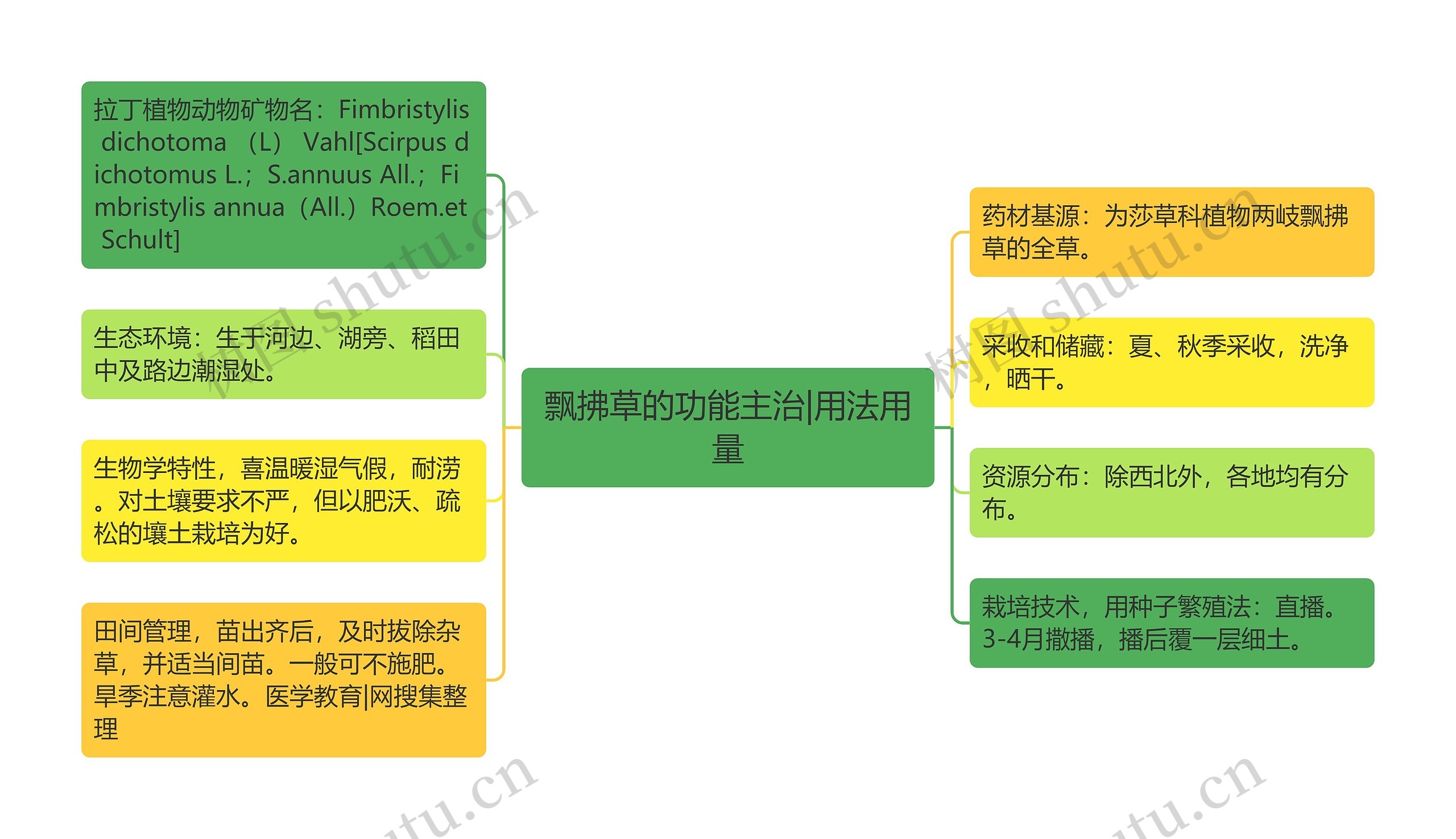 飘拂草的功能主治|用法用量思维导图