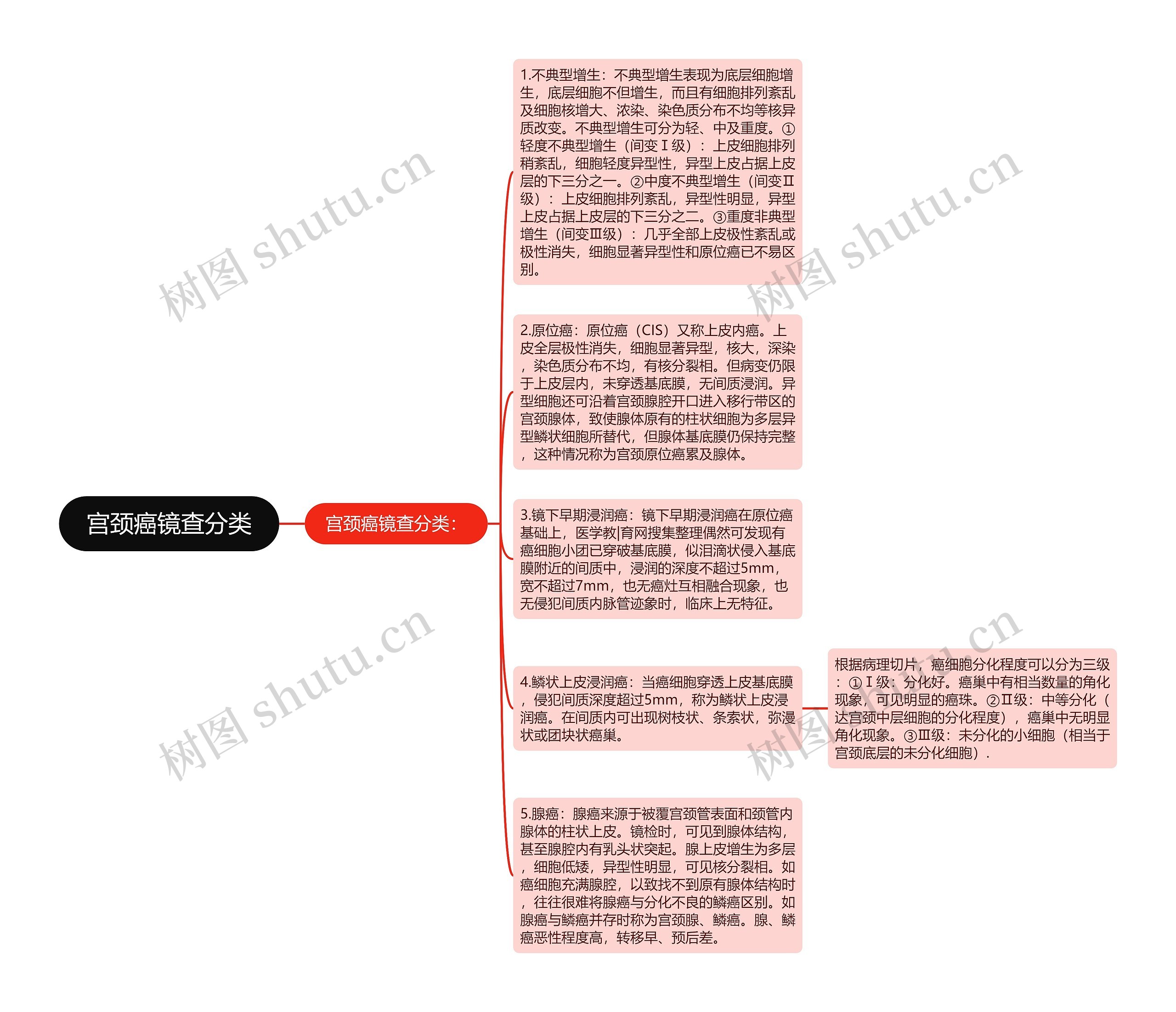 宫颈癌镜查分类思维导图