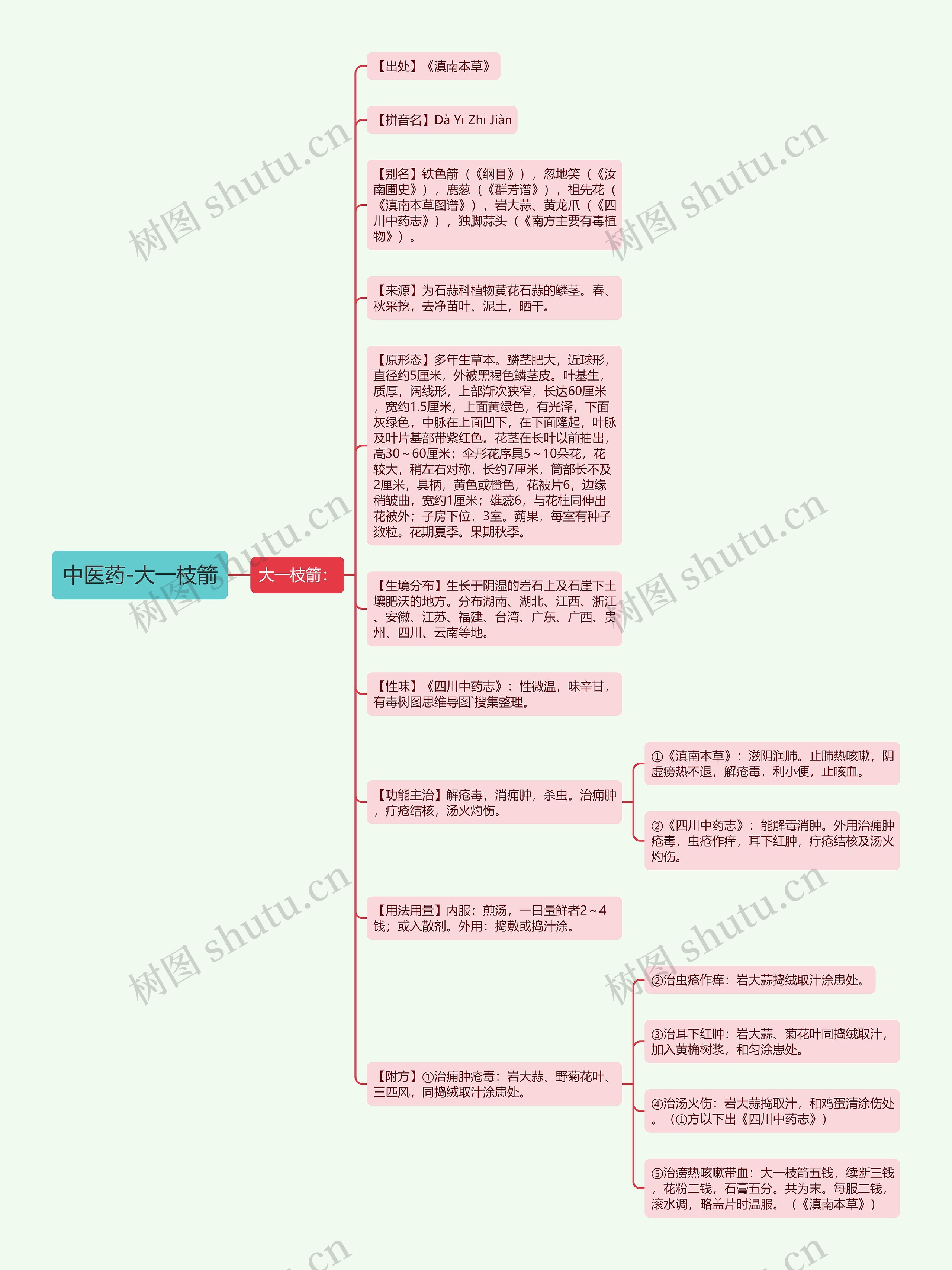 中医药-大一枝箭思维导图