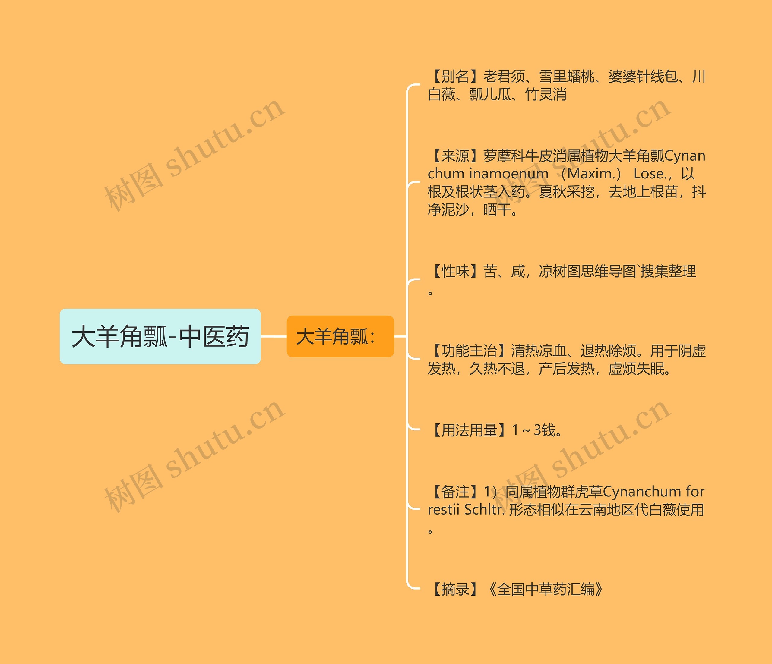 大羊角瓢-中医药思维导图