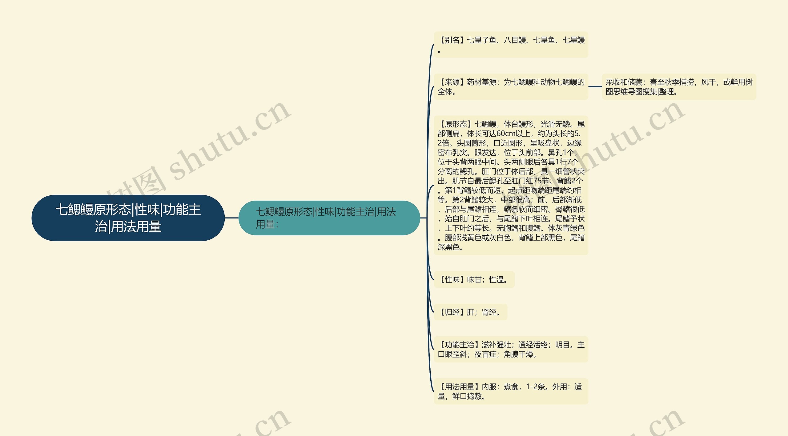 七鳃鳗原形态|性味|功能主治|用法用量