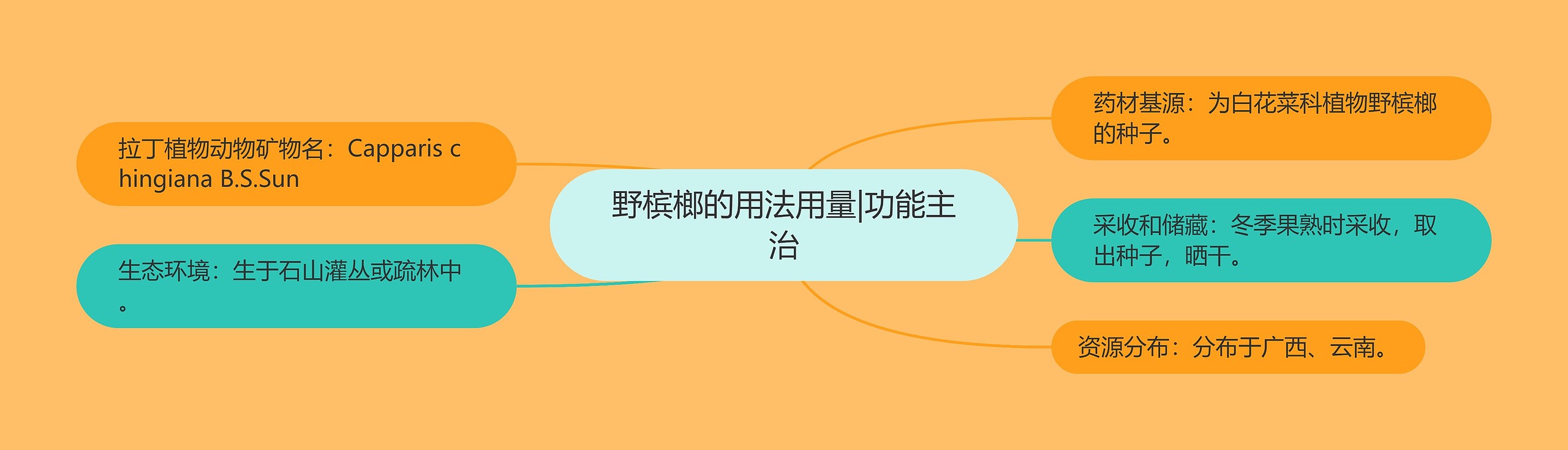 野槟榔的用法用量|功能主治 野槟榔的用法用量|功能主治